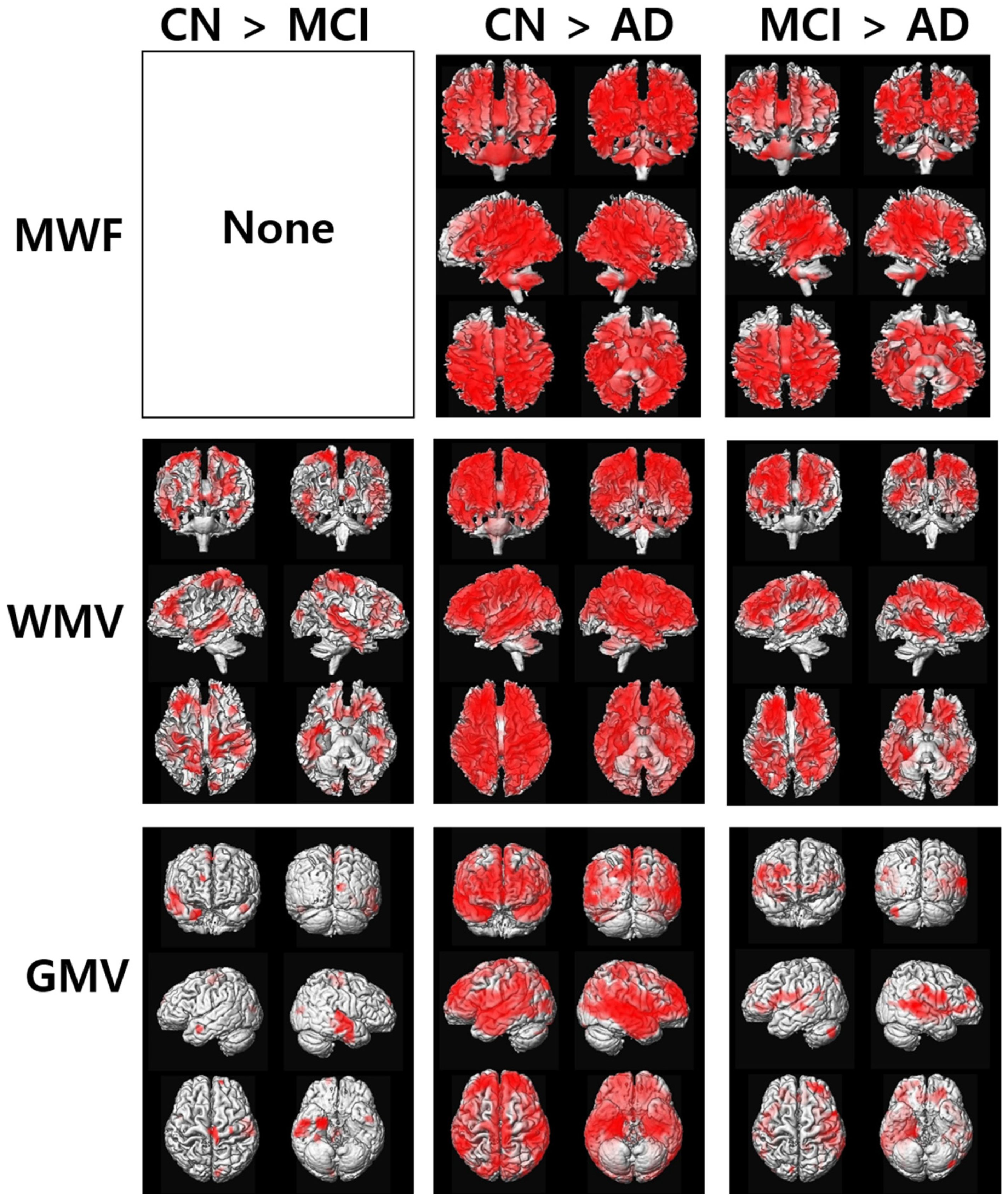 Diagnostics 12 00446 g002