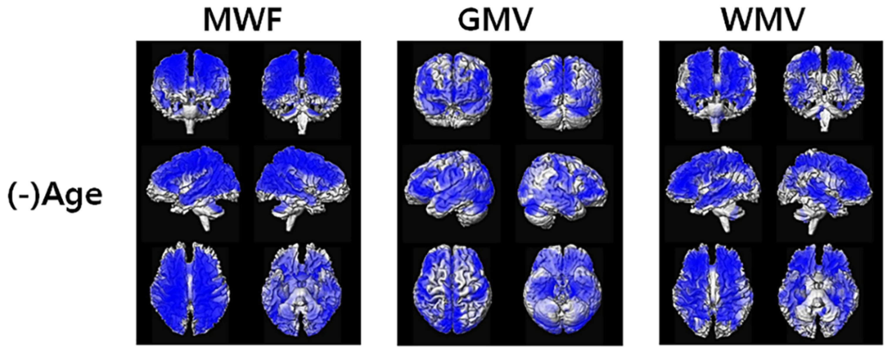 Diagnostics 12 00446 g003