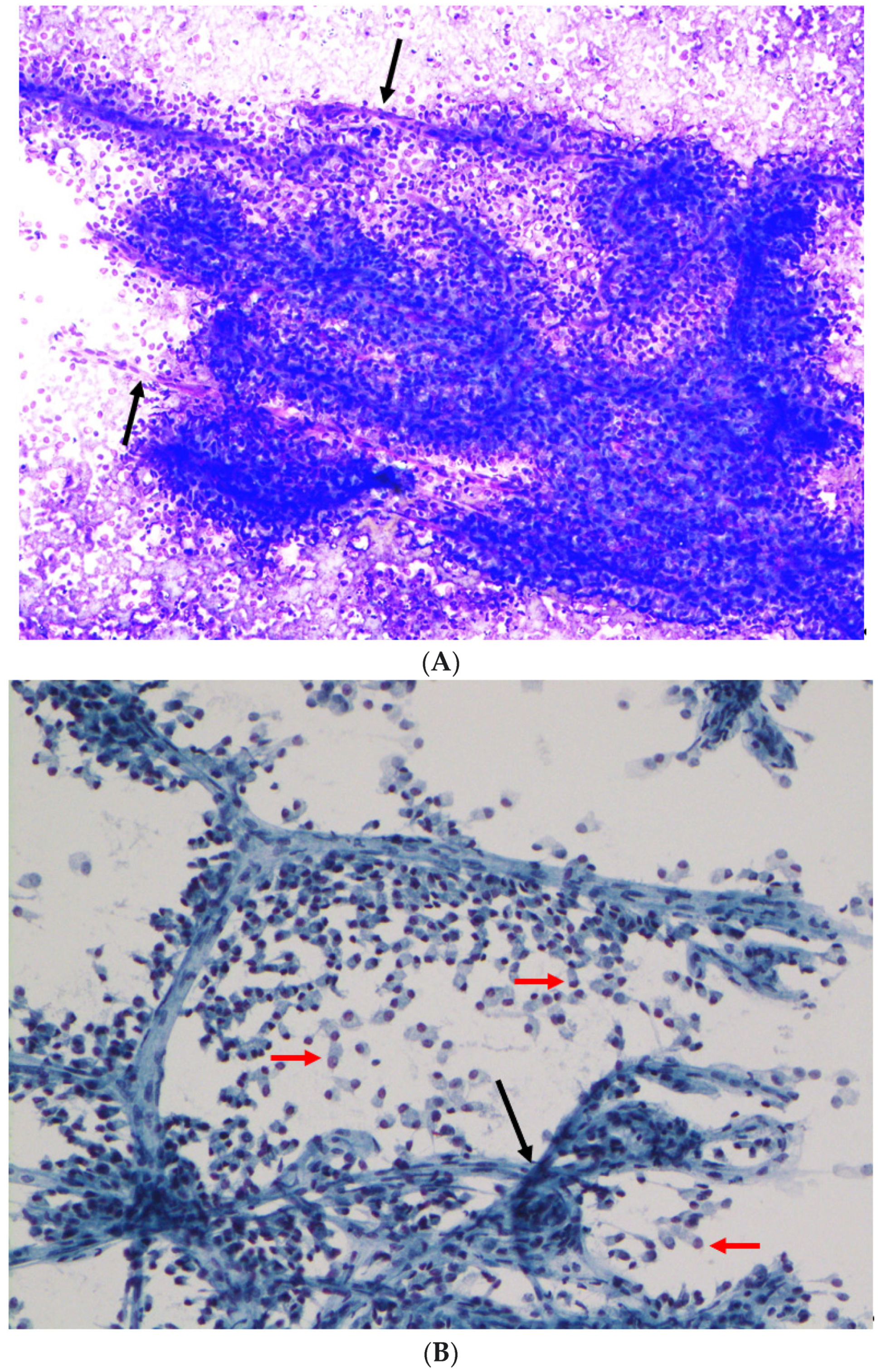 Diagnostics 12 00449 g001a
