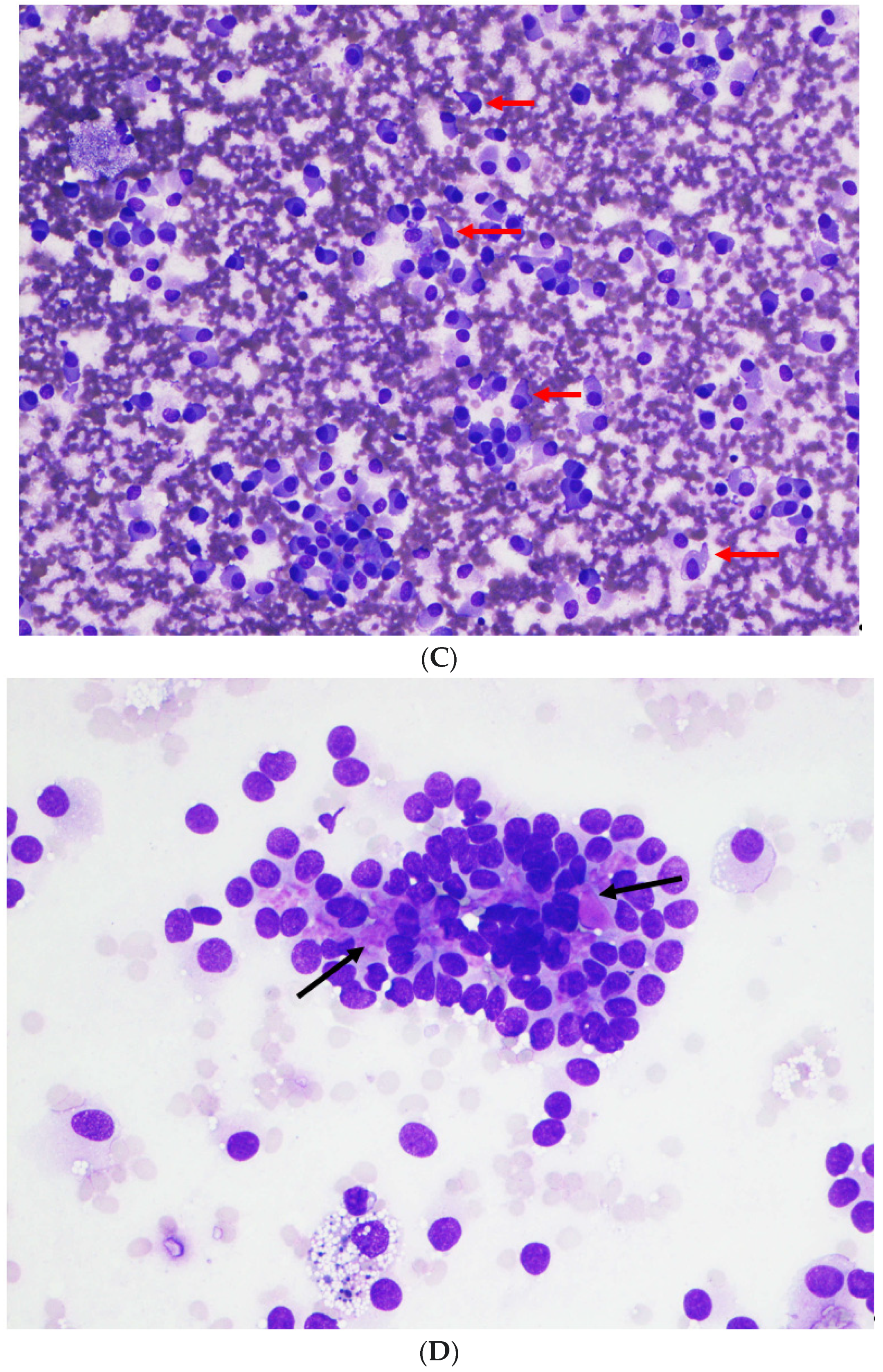 Diagnostics 12 00449 g001b