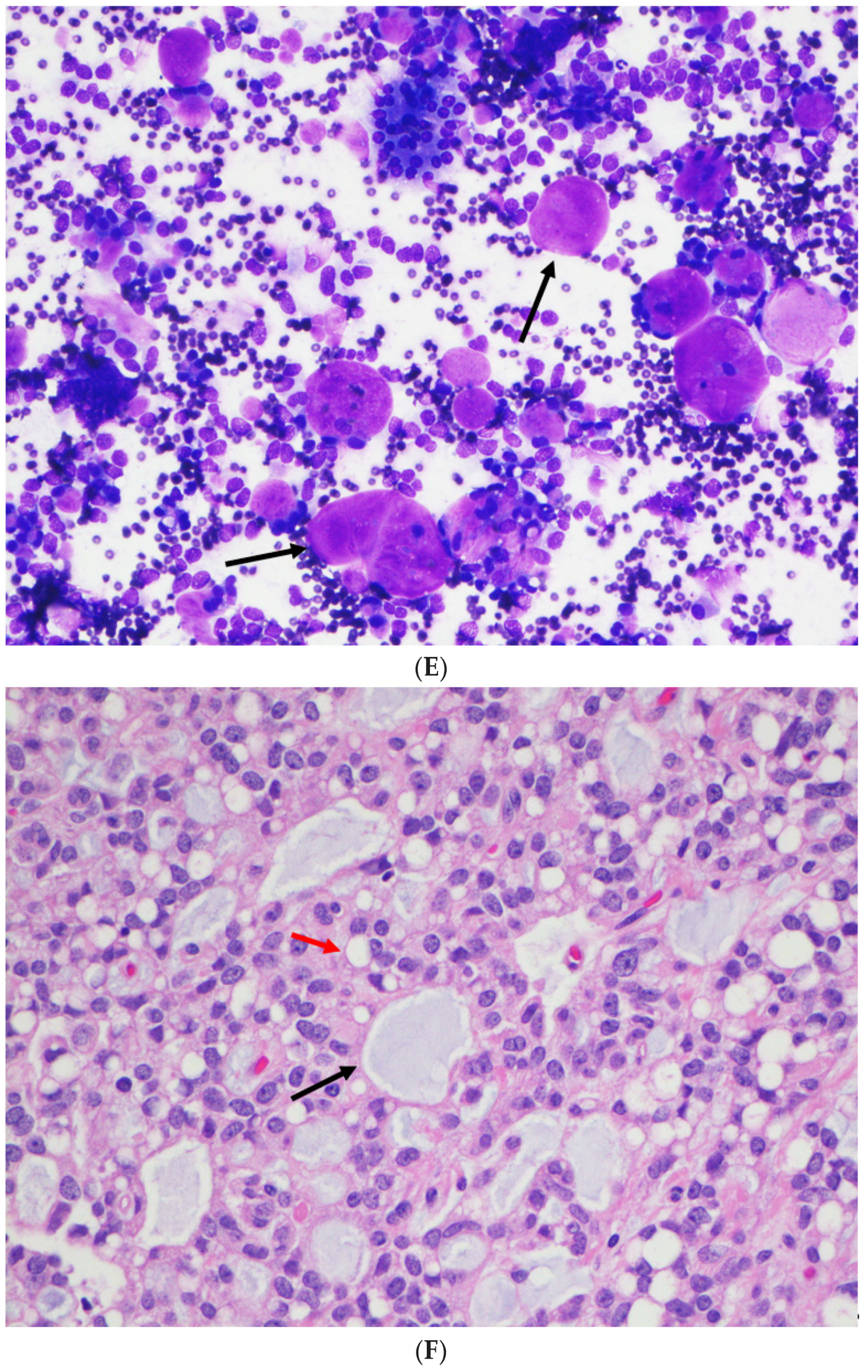 Diagnostics 12 00449 g001c