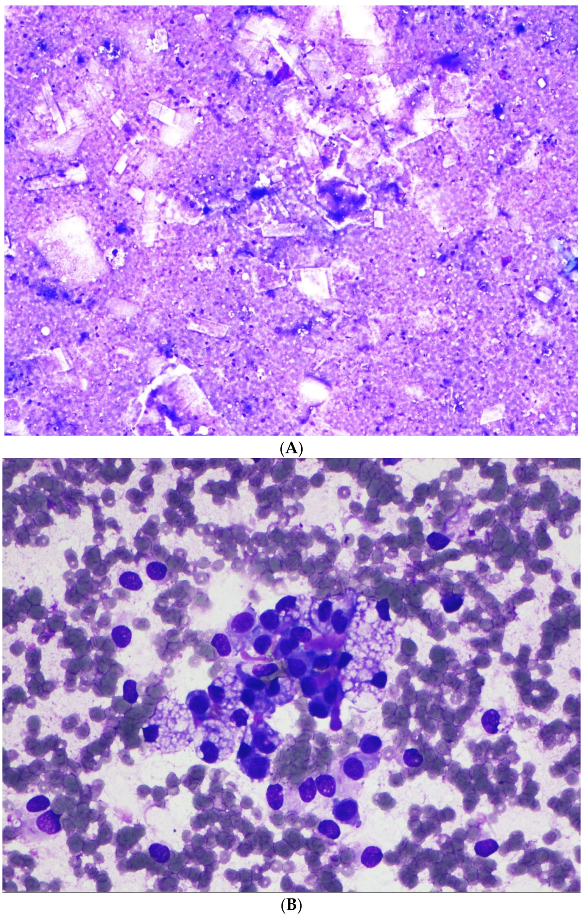 Diagnostics 12 00449 g002a