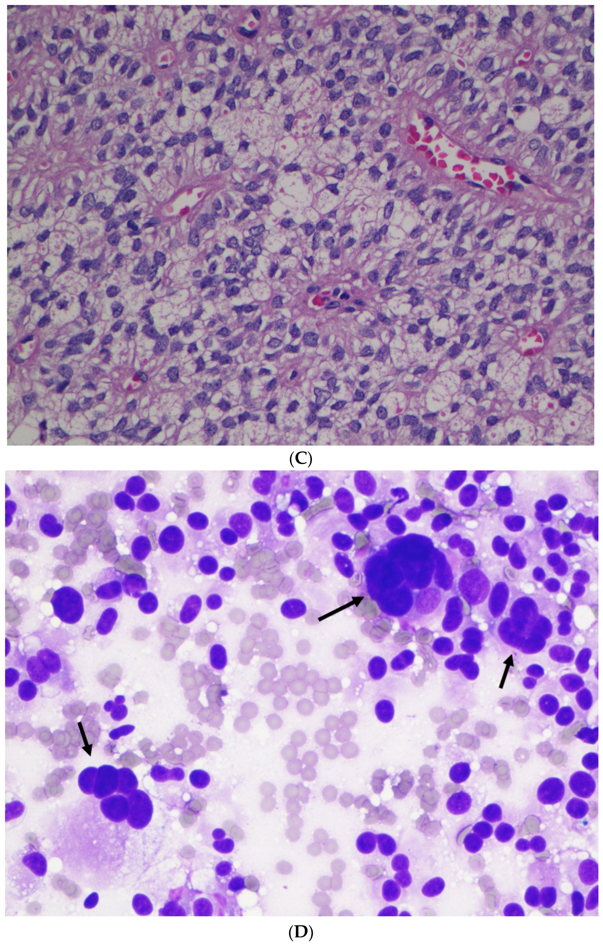 Diagnostics 12 00449 g002b