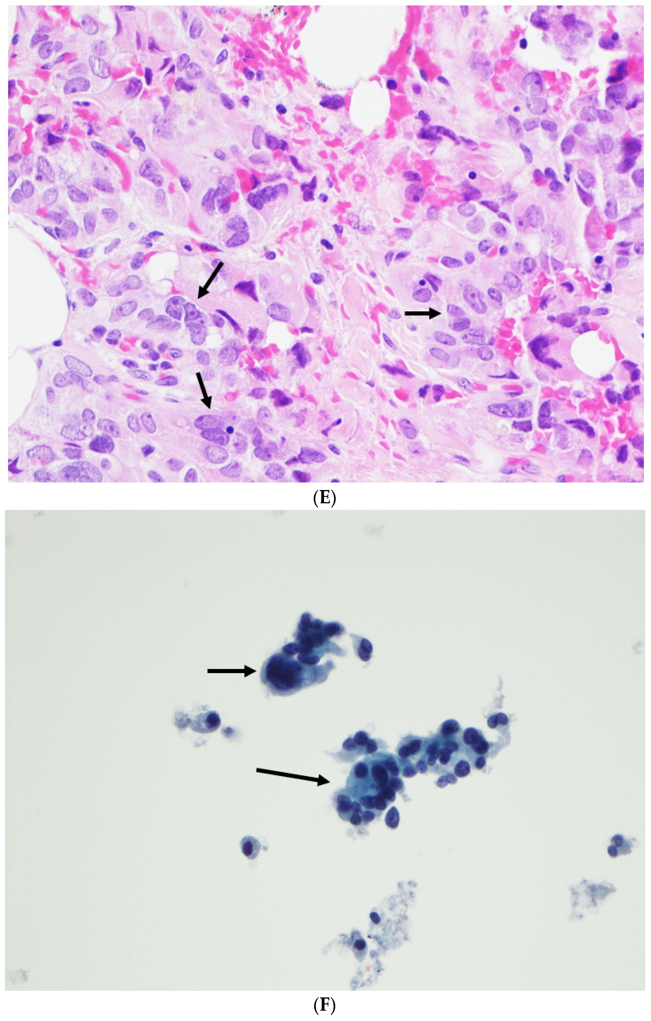 Diagnostics 12 00449 g002c