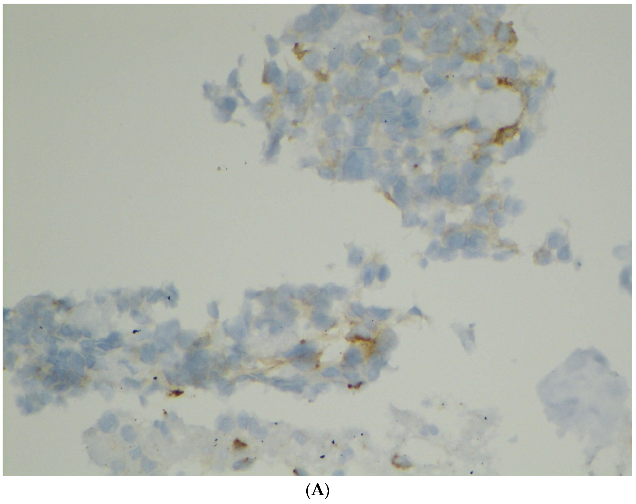 Diagnostics 12 00449 g003a