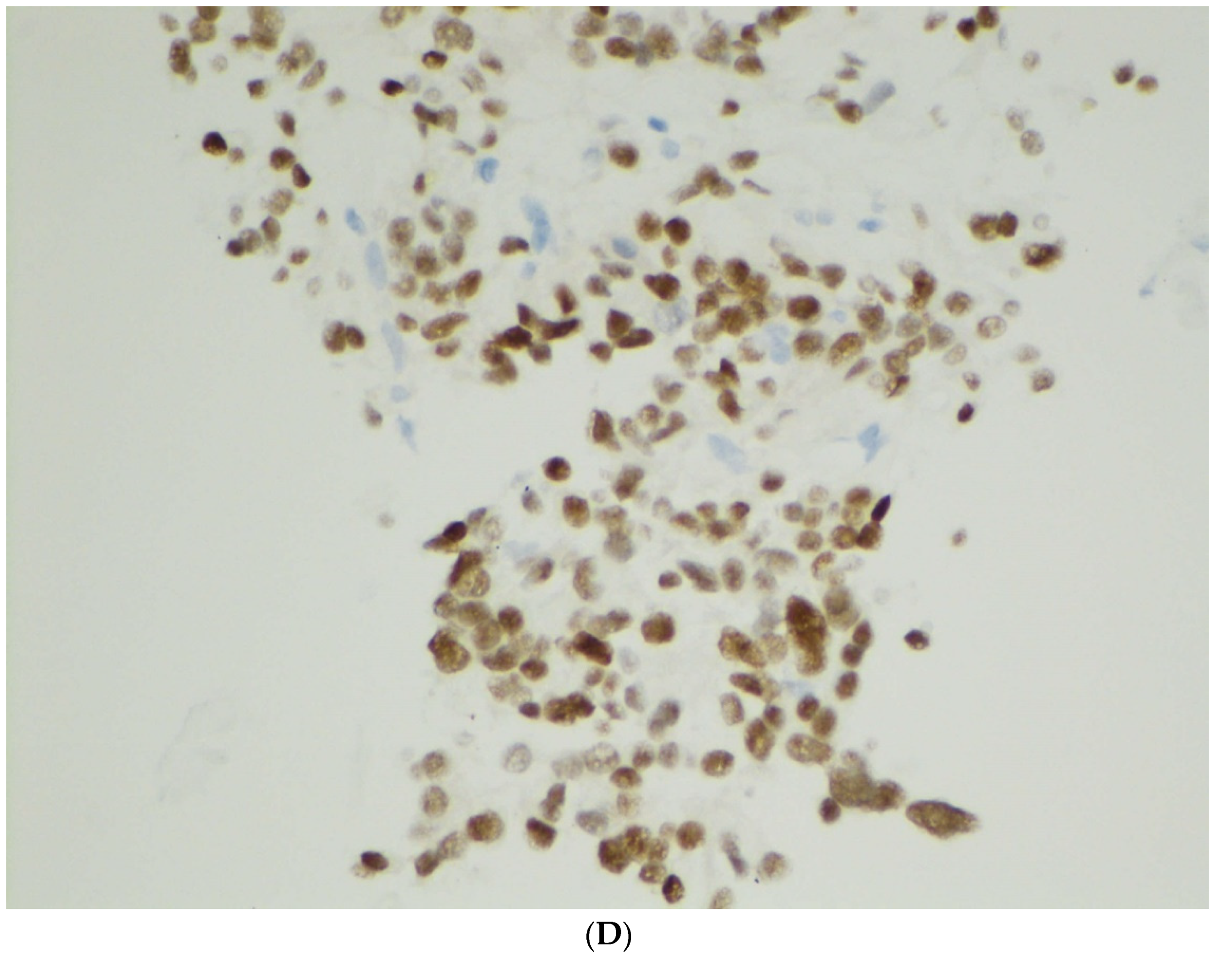 Diagnostics 12 00449 g003c