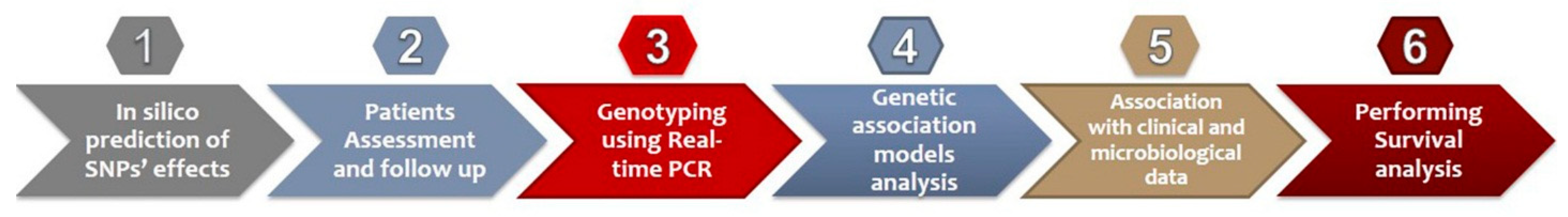 Diagnostics 12 00460 g001