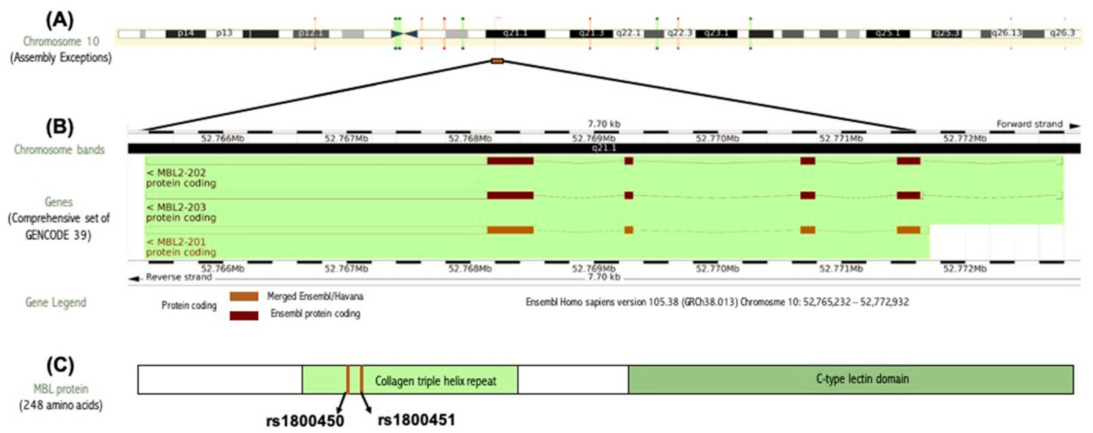 Diagnostics 12 00460 g002