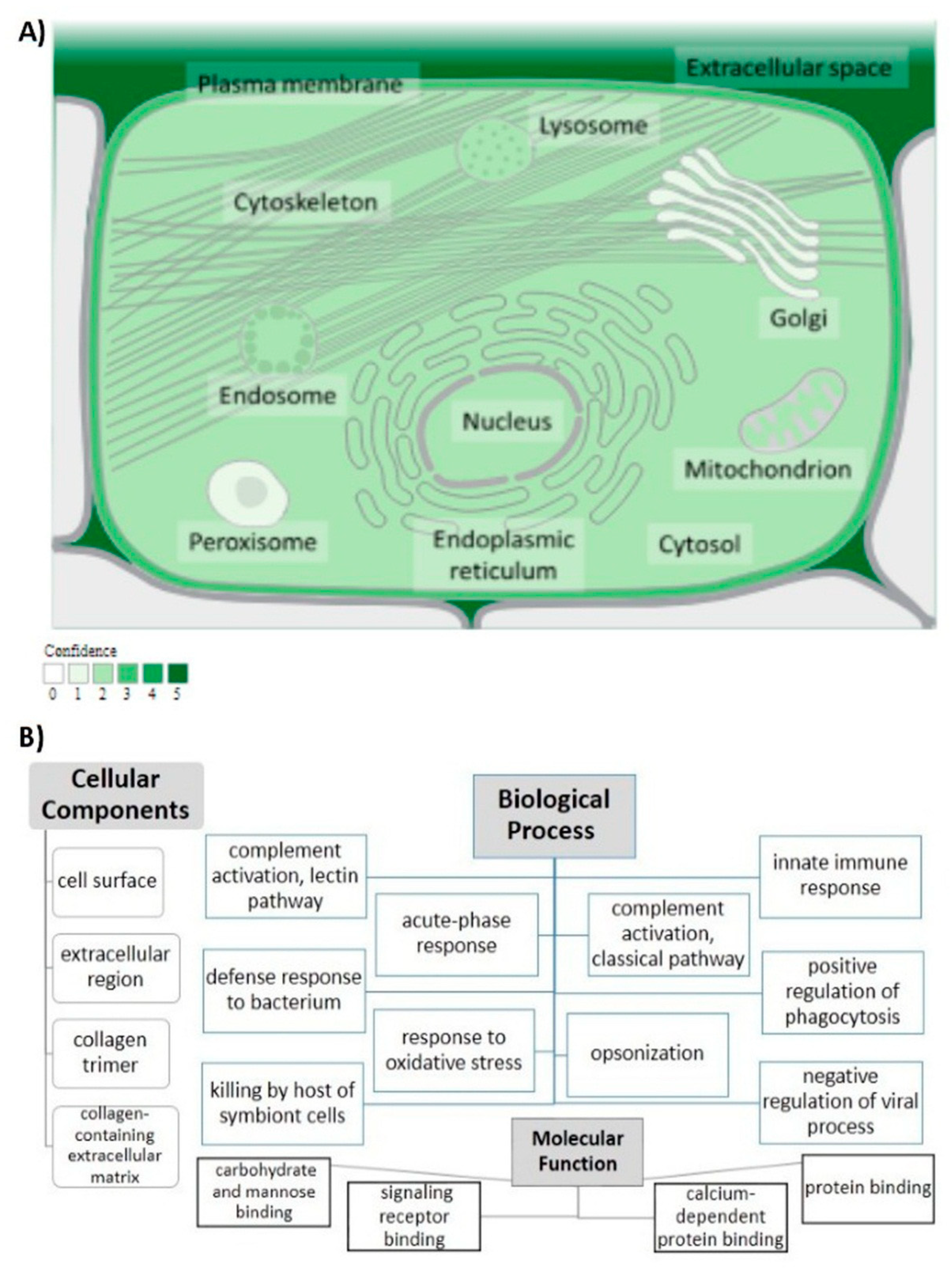 Diagnostics 12 00460 g003