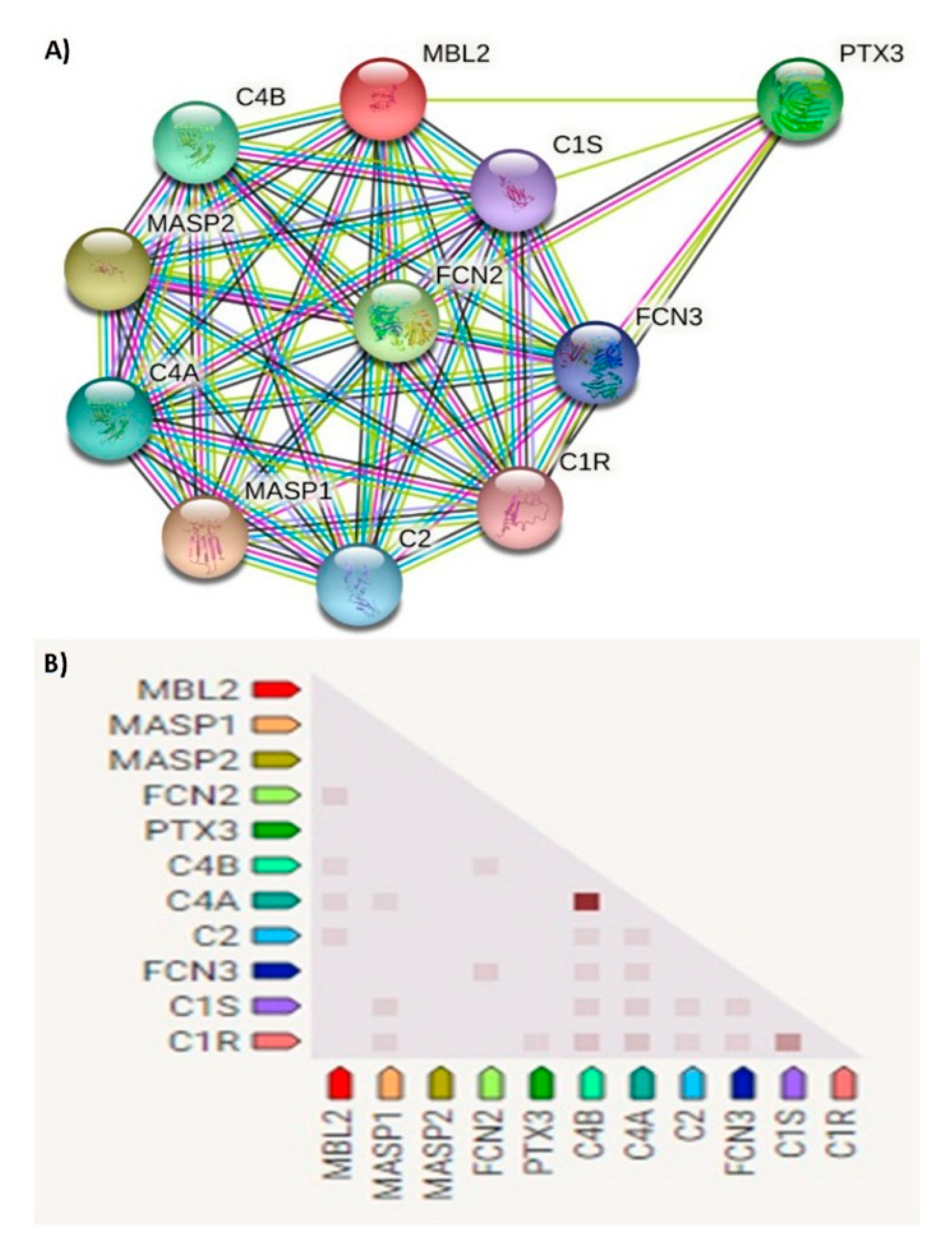 Diagnostics 12 00460 g004