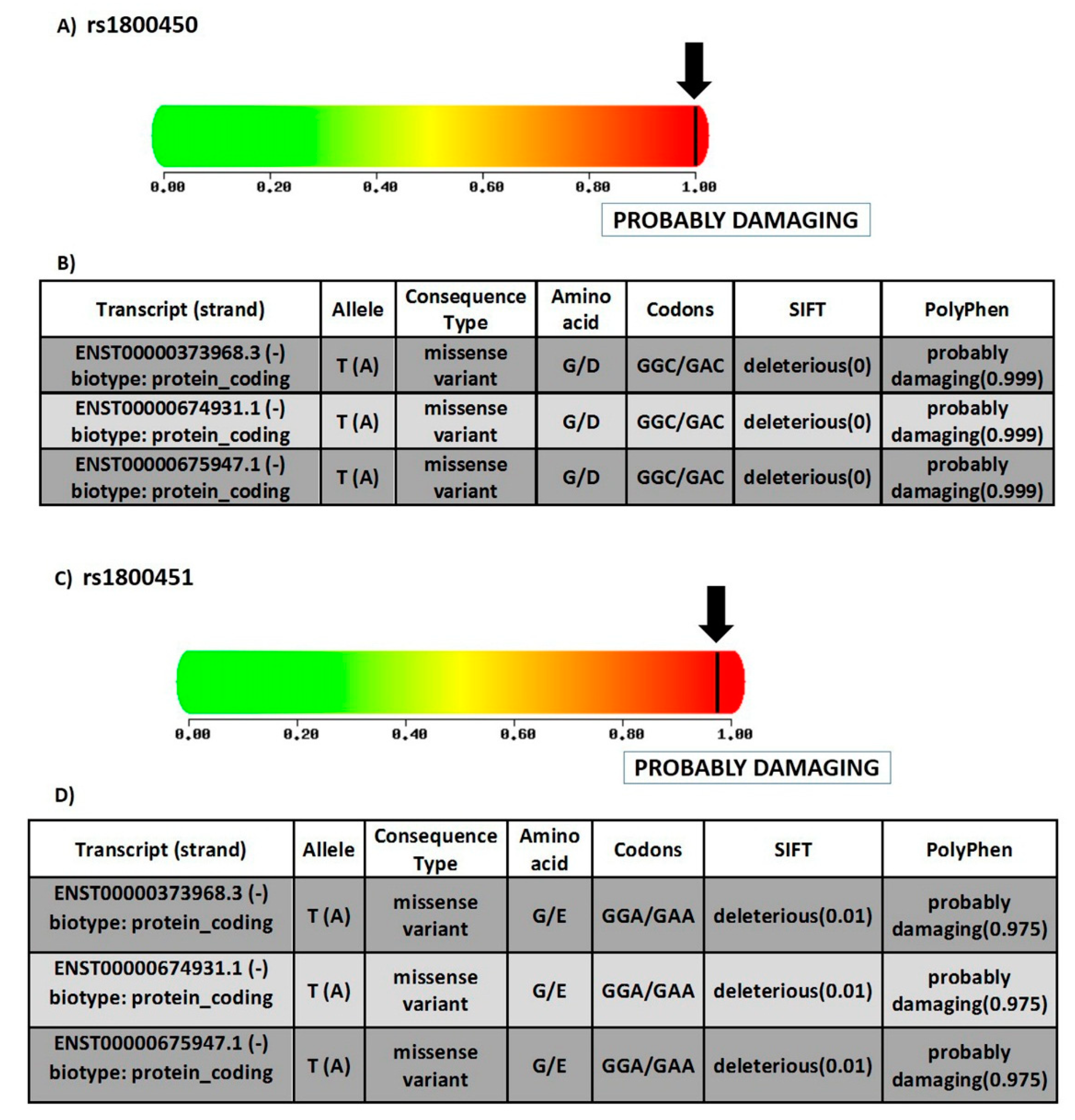 Diagnostics 12 00460 g005