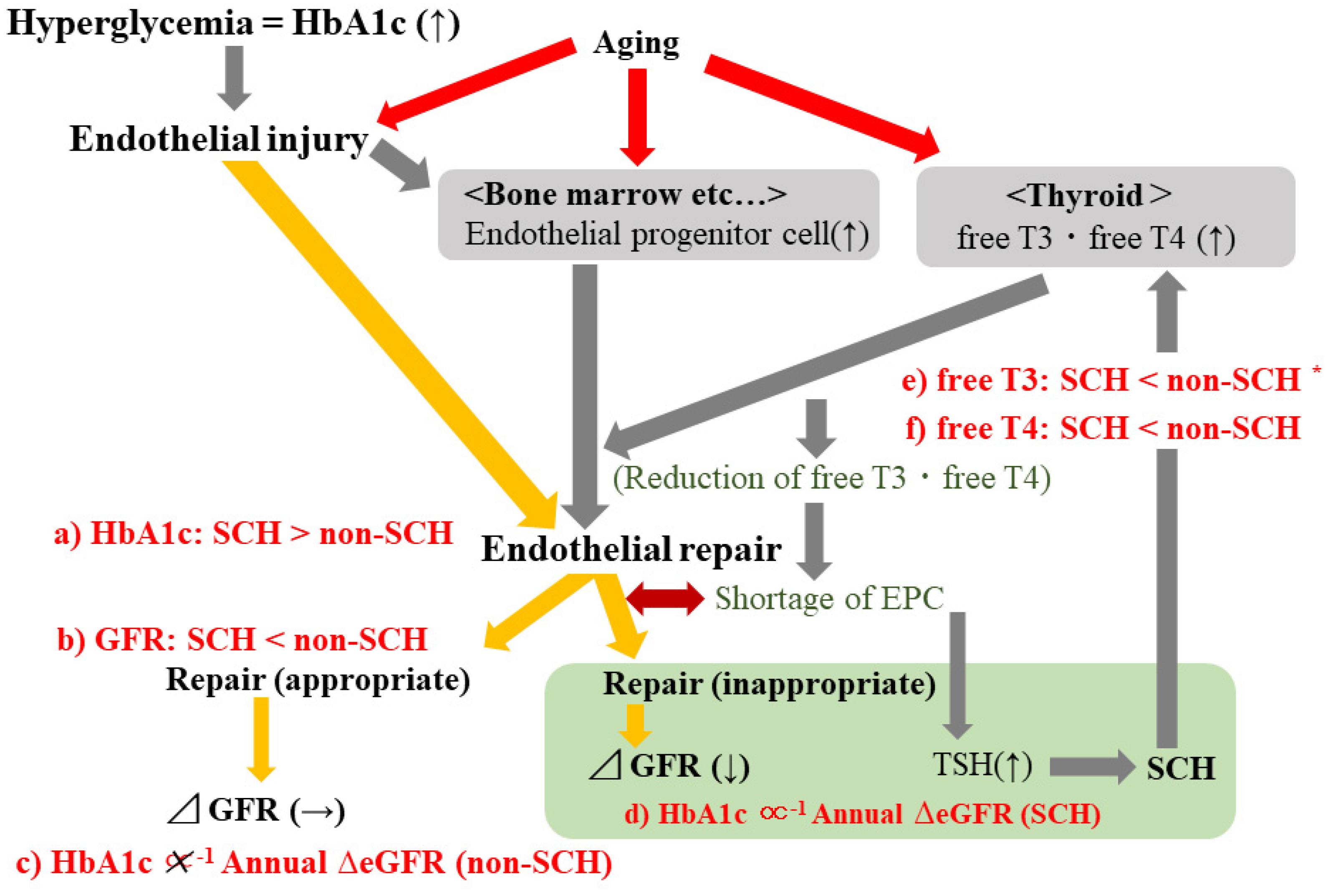 Diagnostics 12 00462 g003