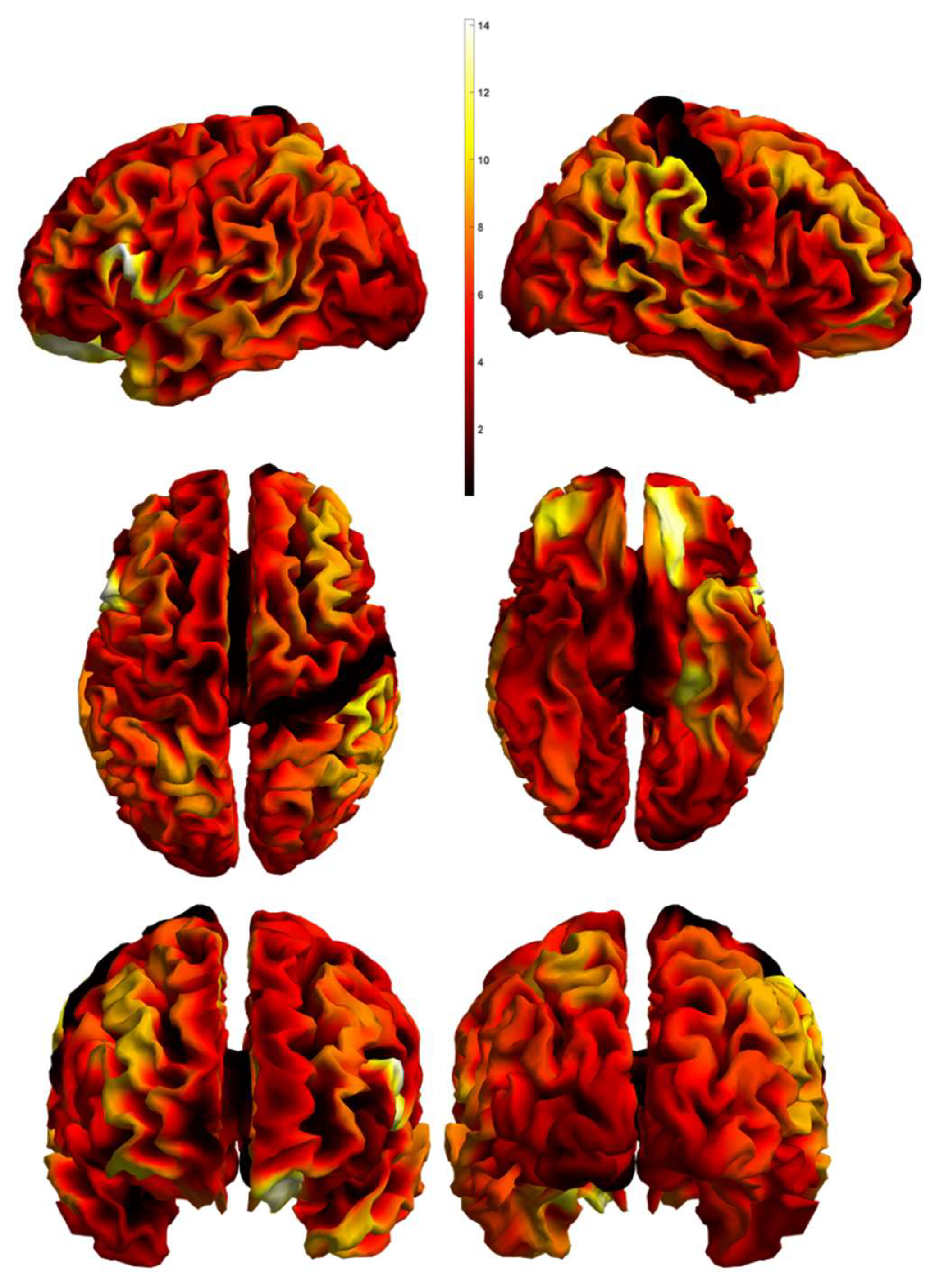 Diagnostics 12 00469 g001
