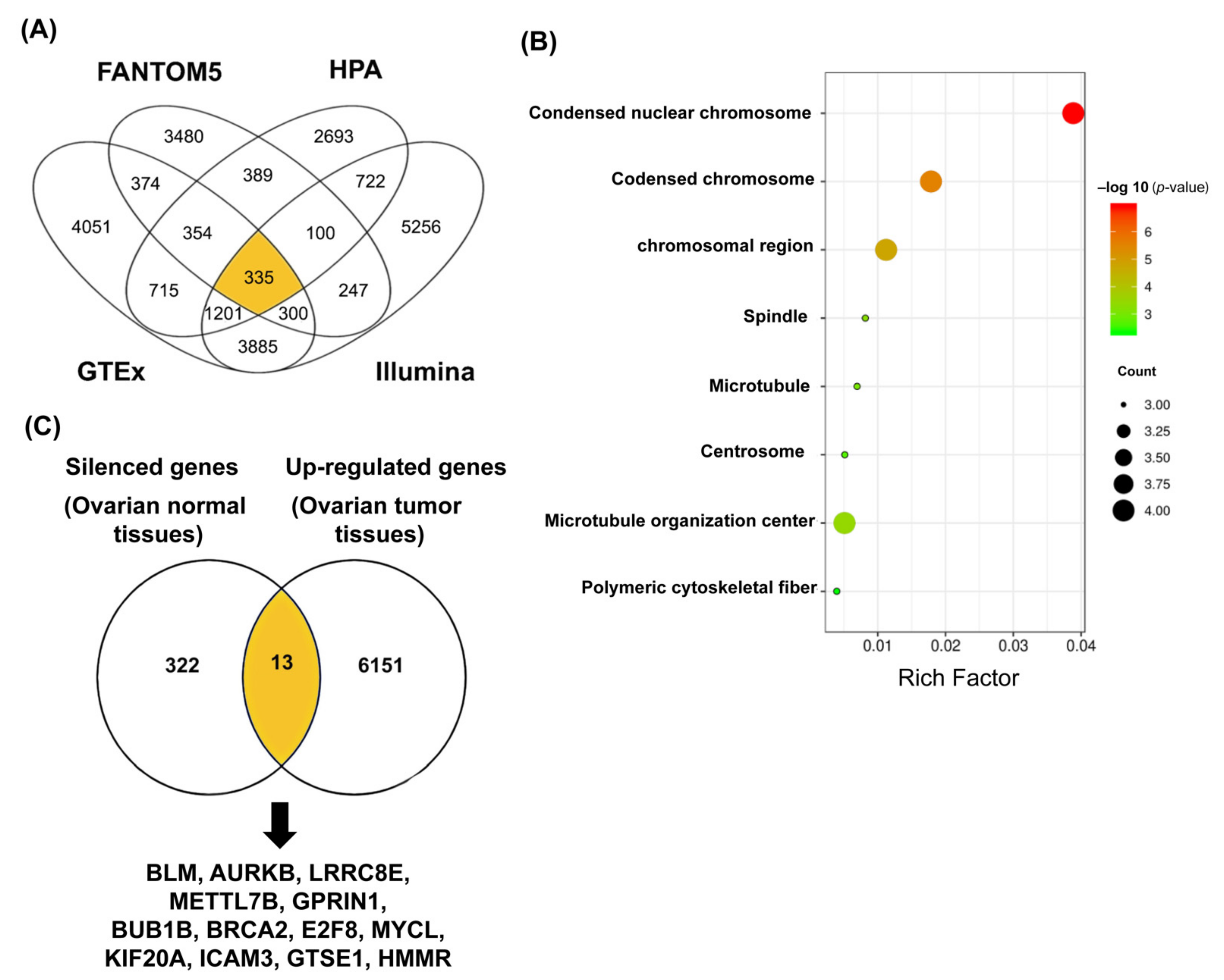 Diagnostics 12 00470 g001