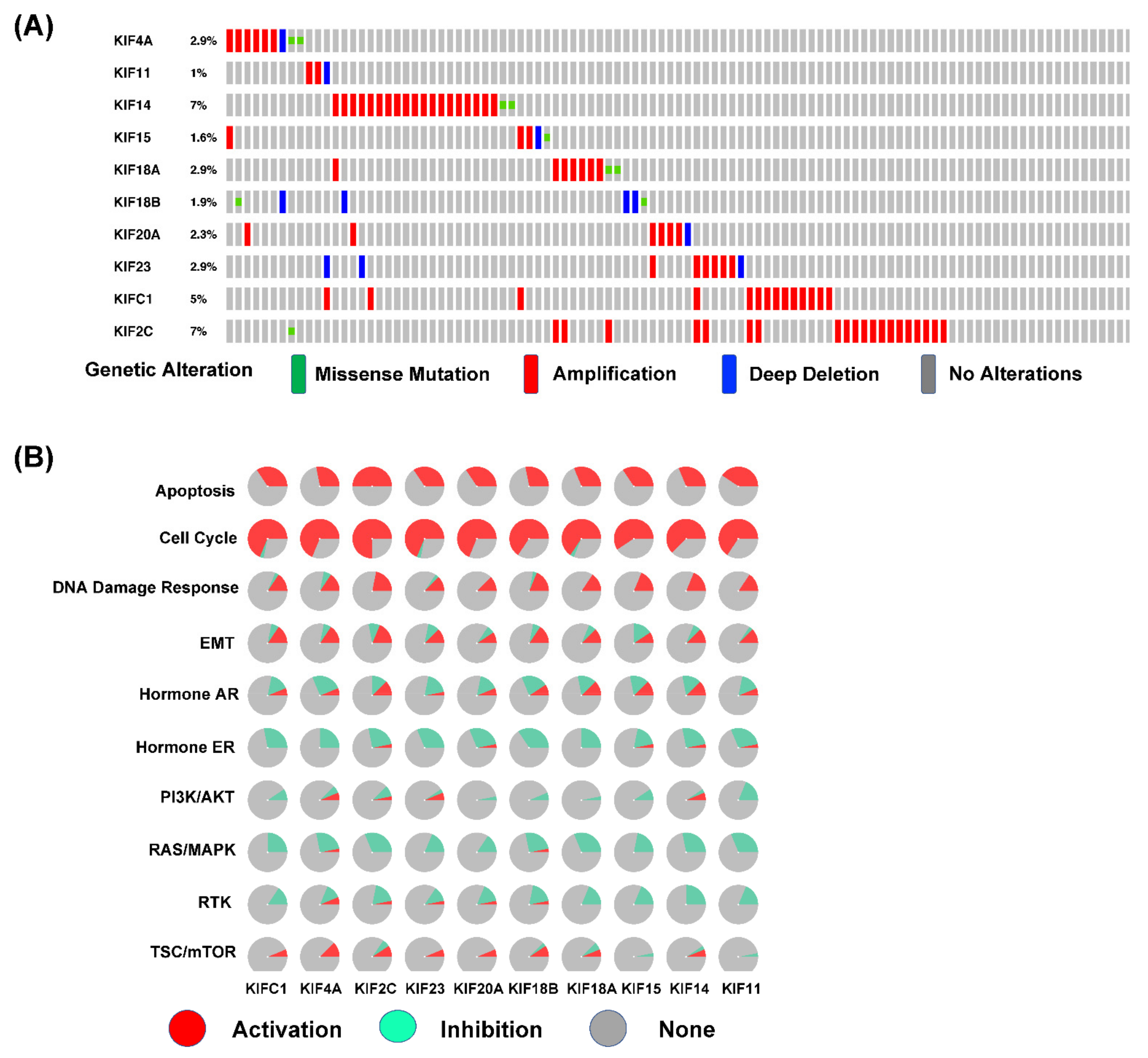 Diagnostics 12 00470 g004