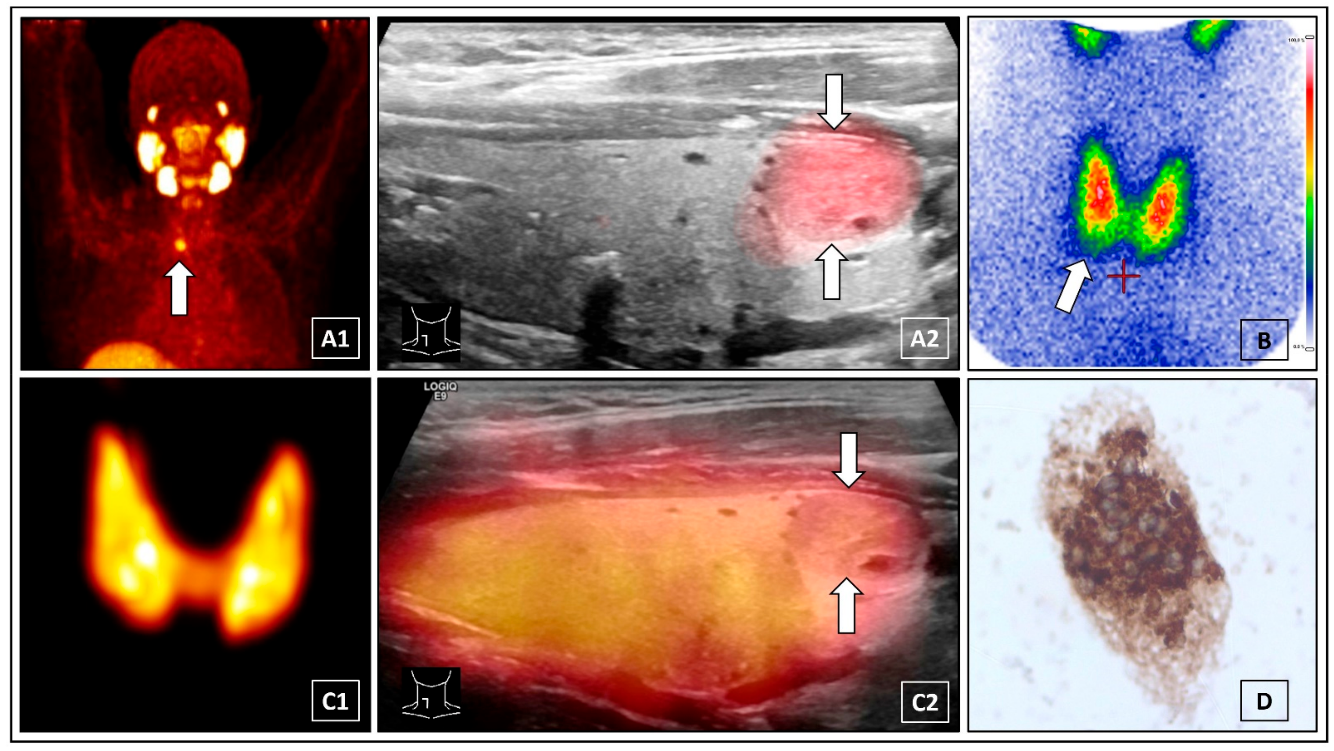 Diagnostics 12 00472 g001