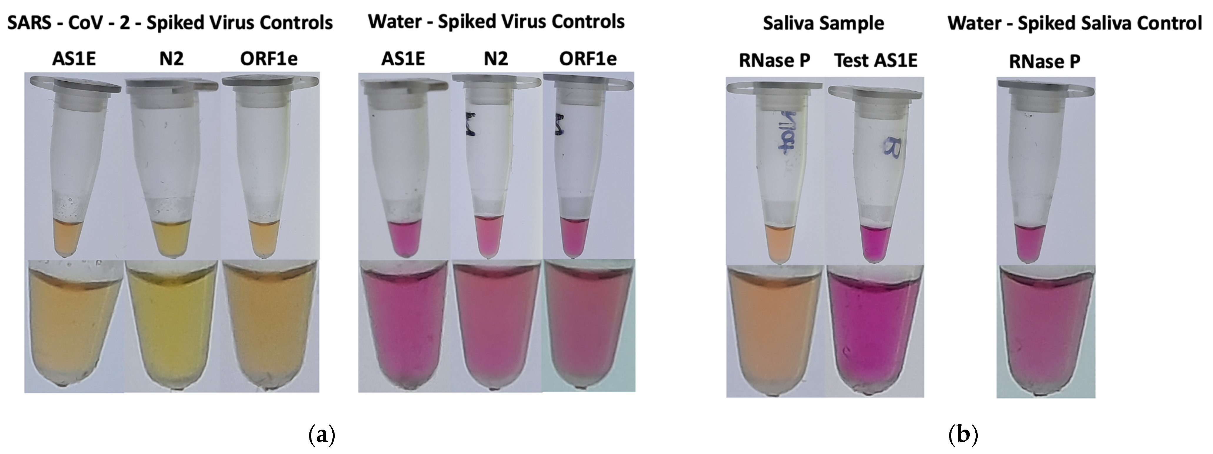 Diagnostics 12 00474 g002