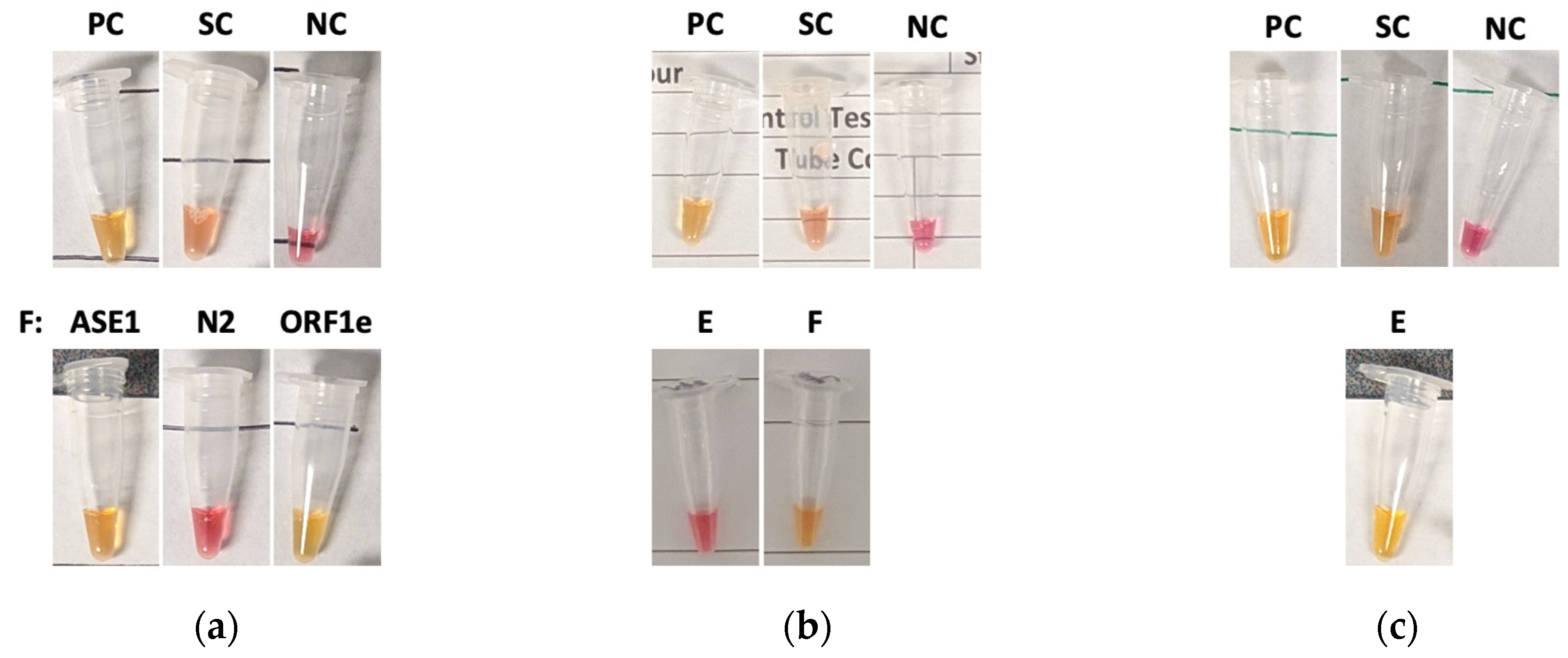 Diagnostics 12 00474 g003