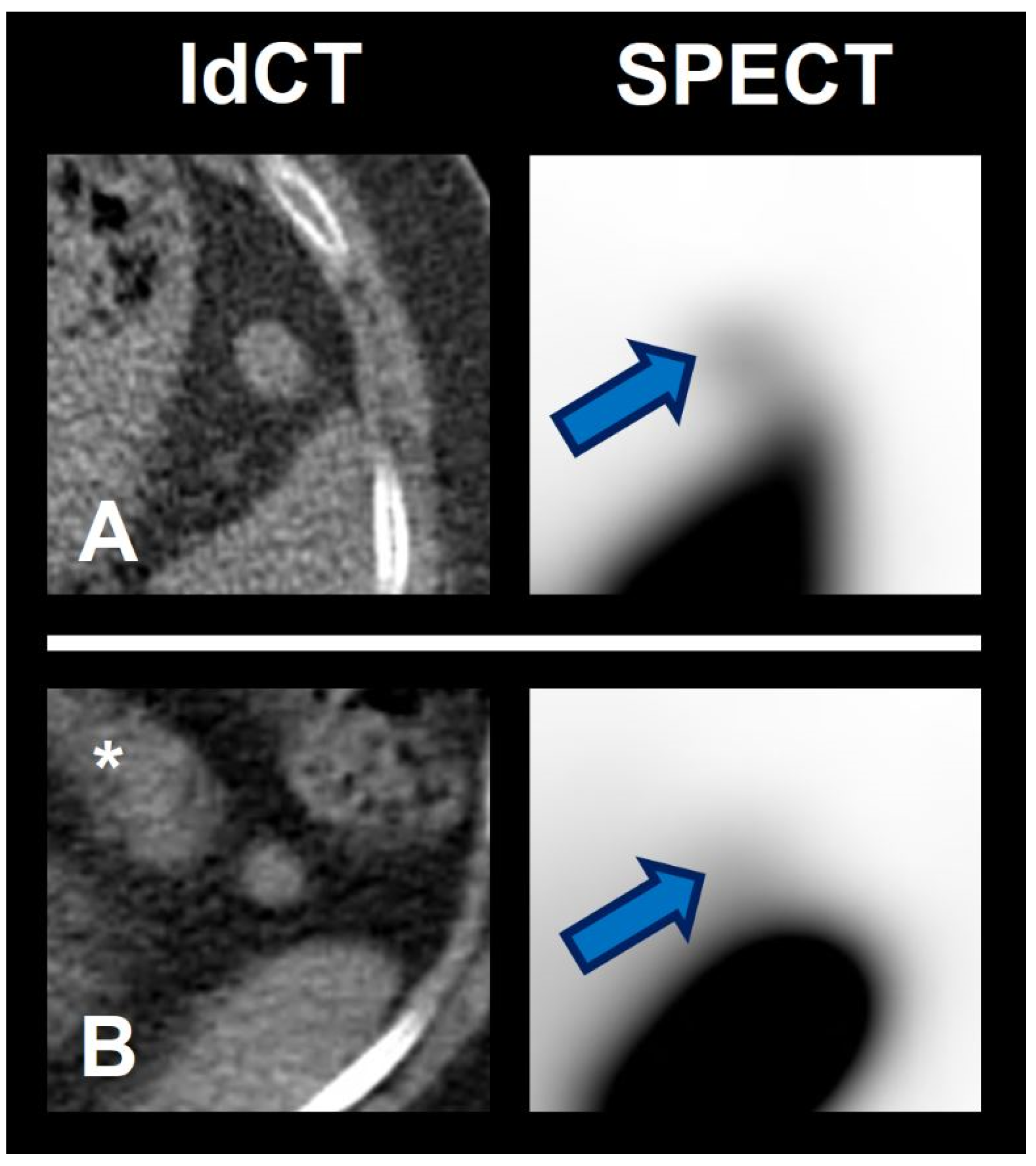 Diagnostics 12 00486 g007