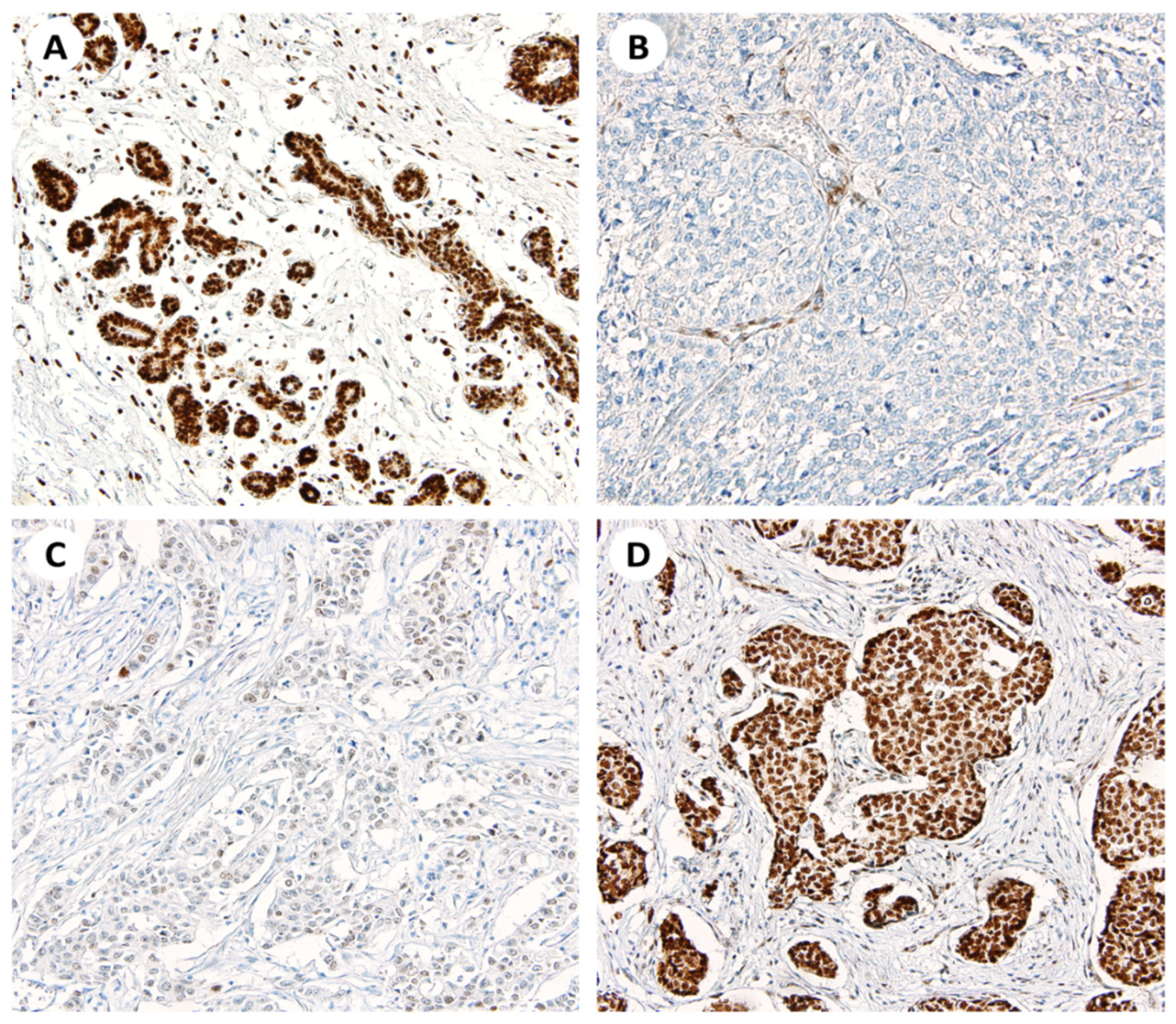Diagnostics 12 00487 g001