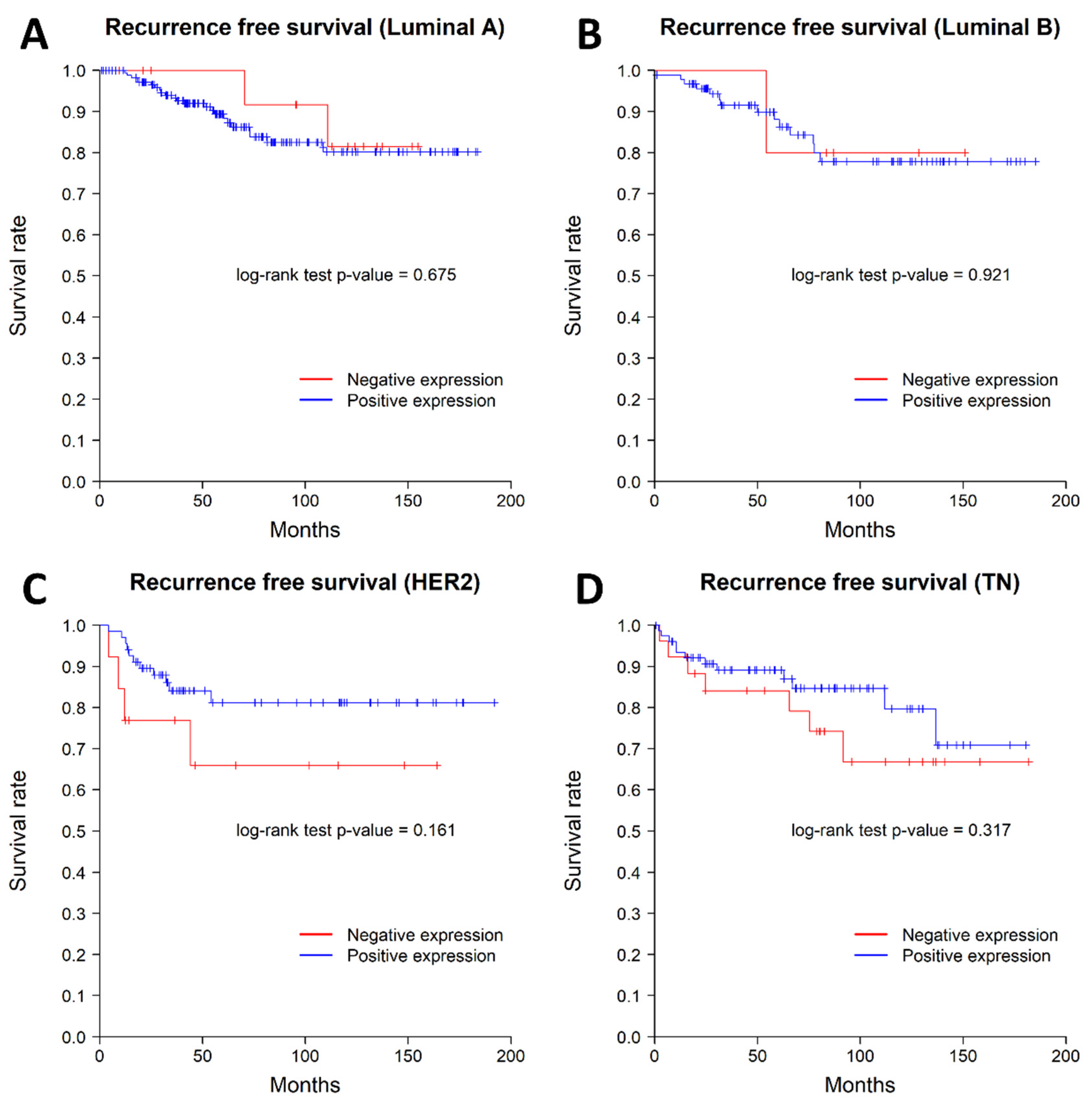 Diagnostics 12 00487 g004