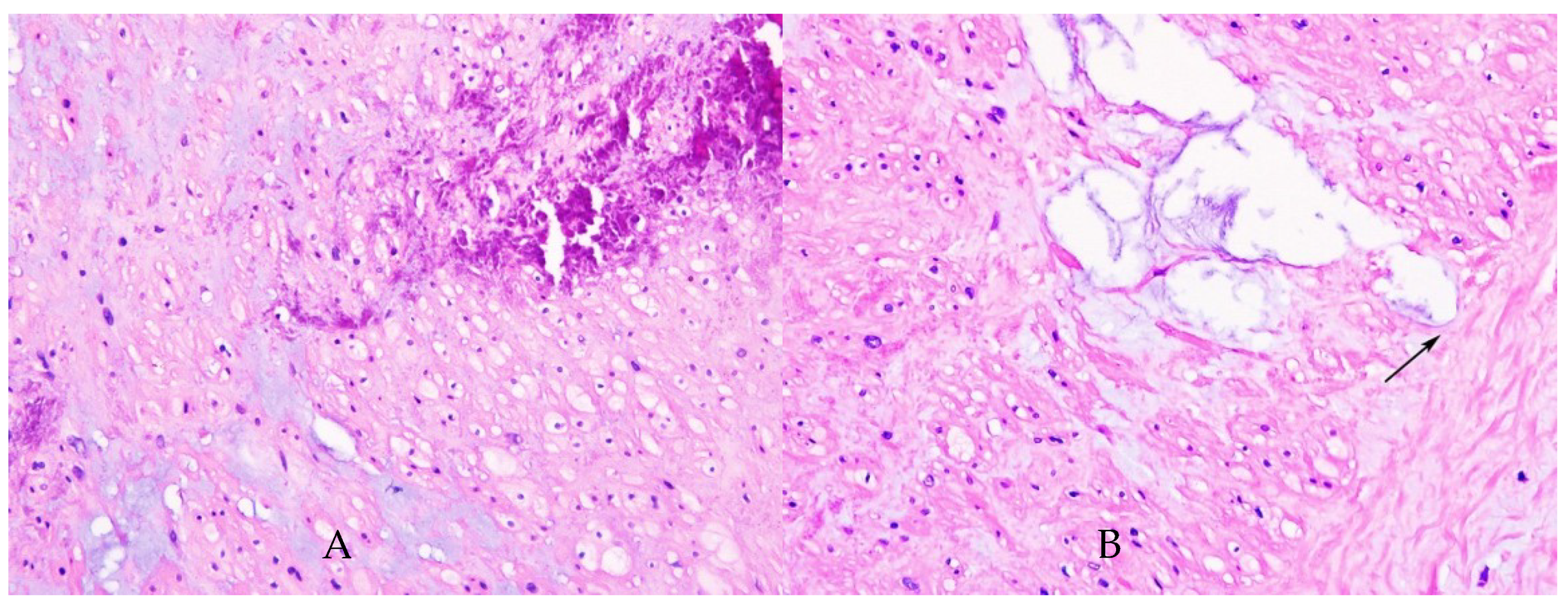 Diagnostics 12 00488 g001