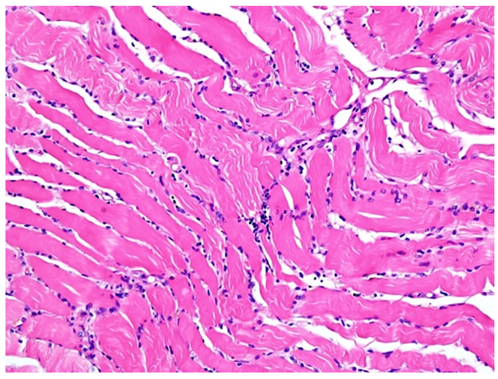 Diagnostics 12 00488 g003