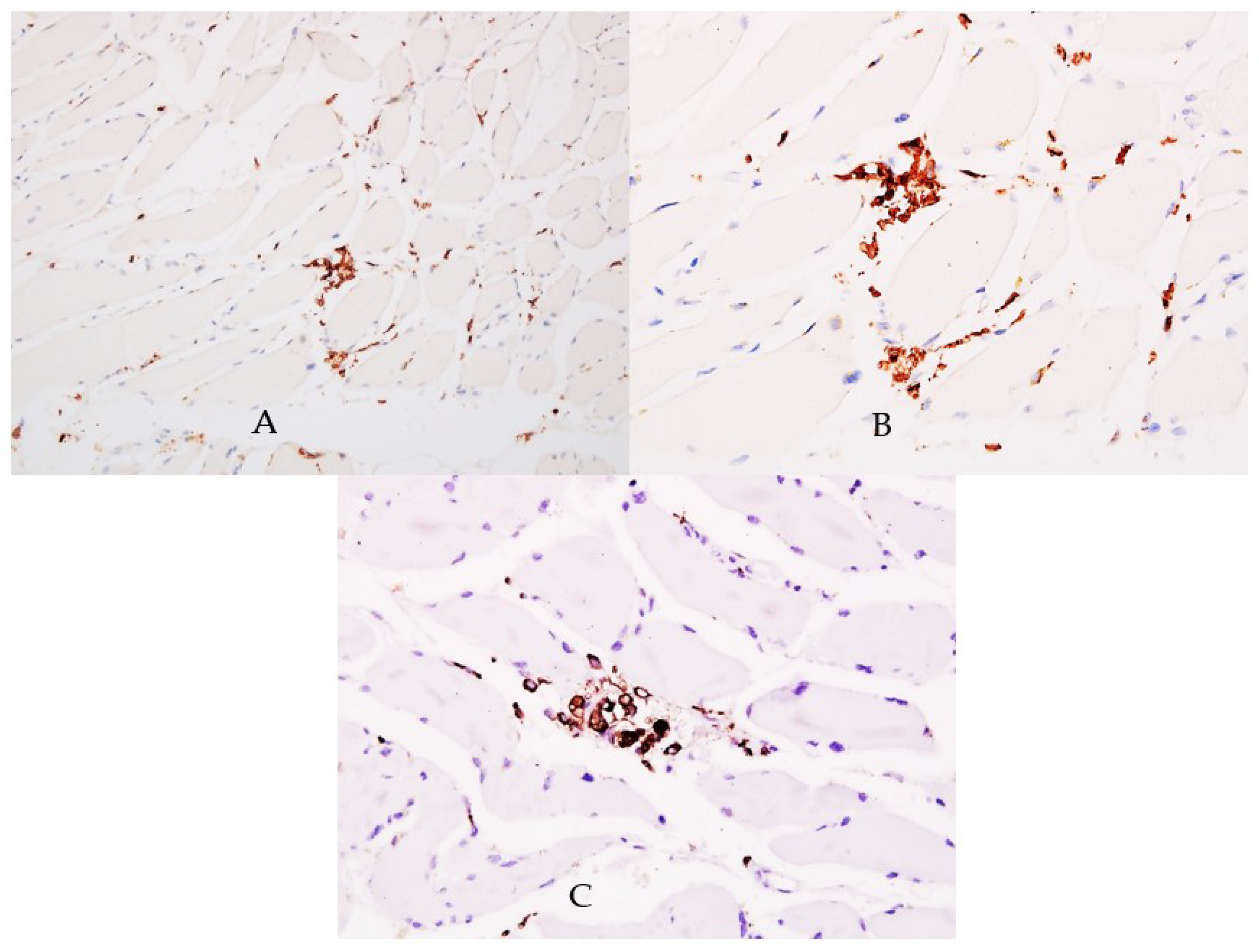 Diagnostics 12 00488 g004