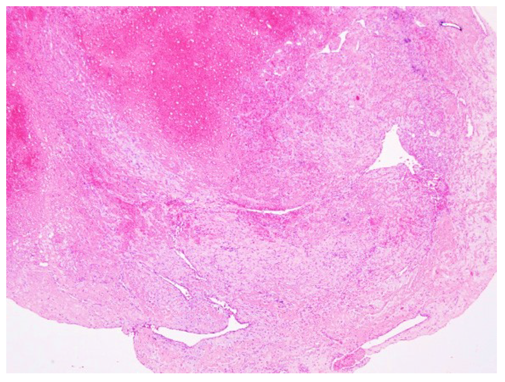 Diagnostics 12 00488 g005