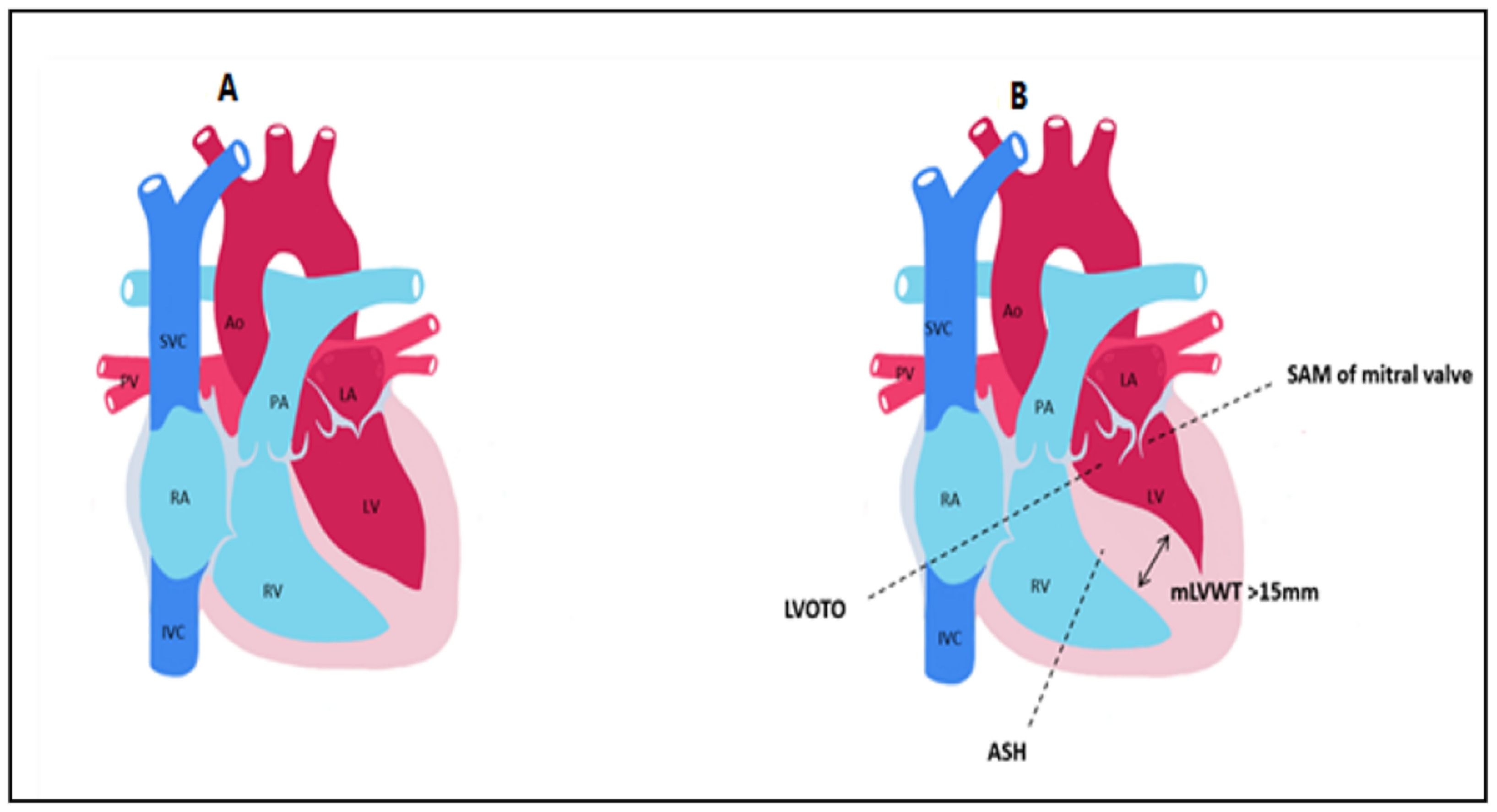 Diagnostics 12 00489 g001