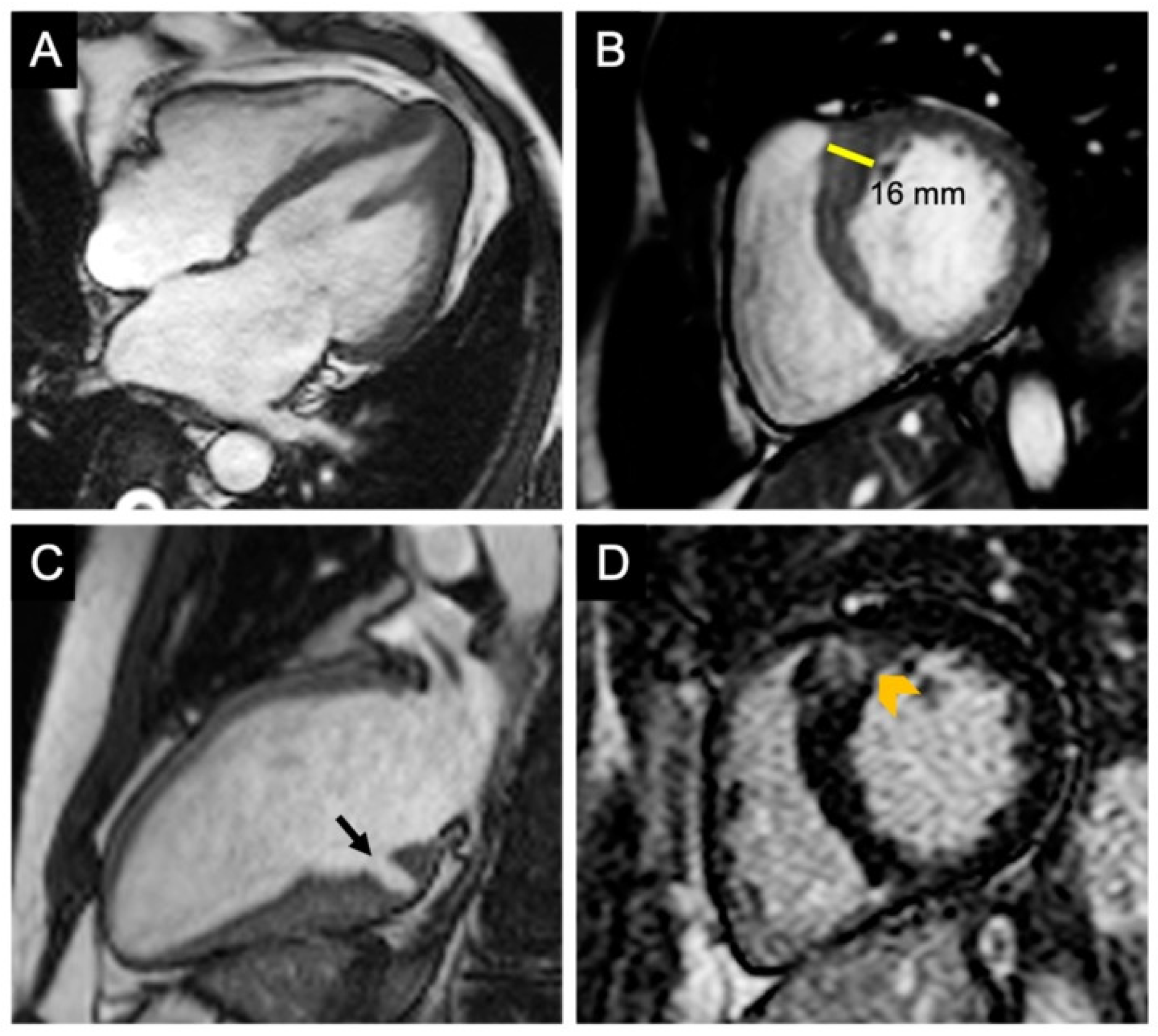 Diagnostics 12 00489 g005