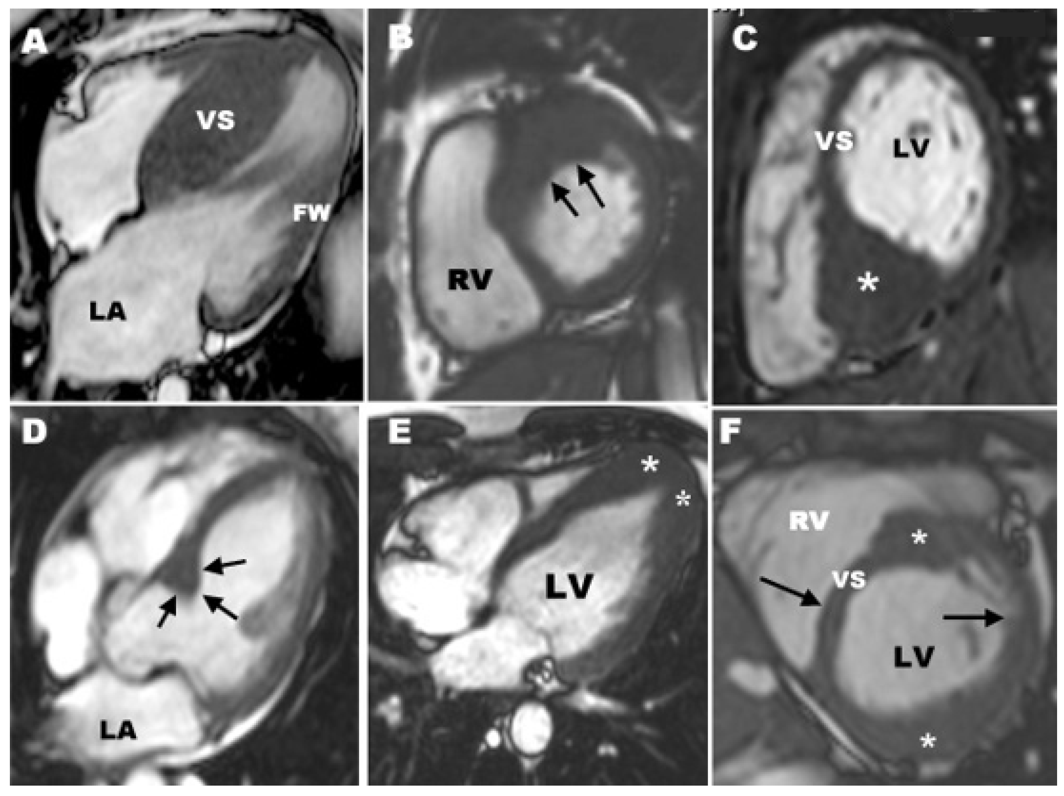 Diagnostics 12 00489 g006