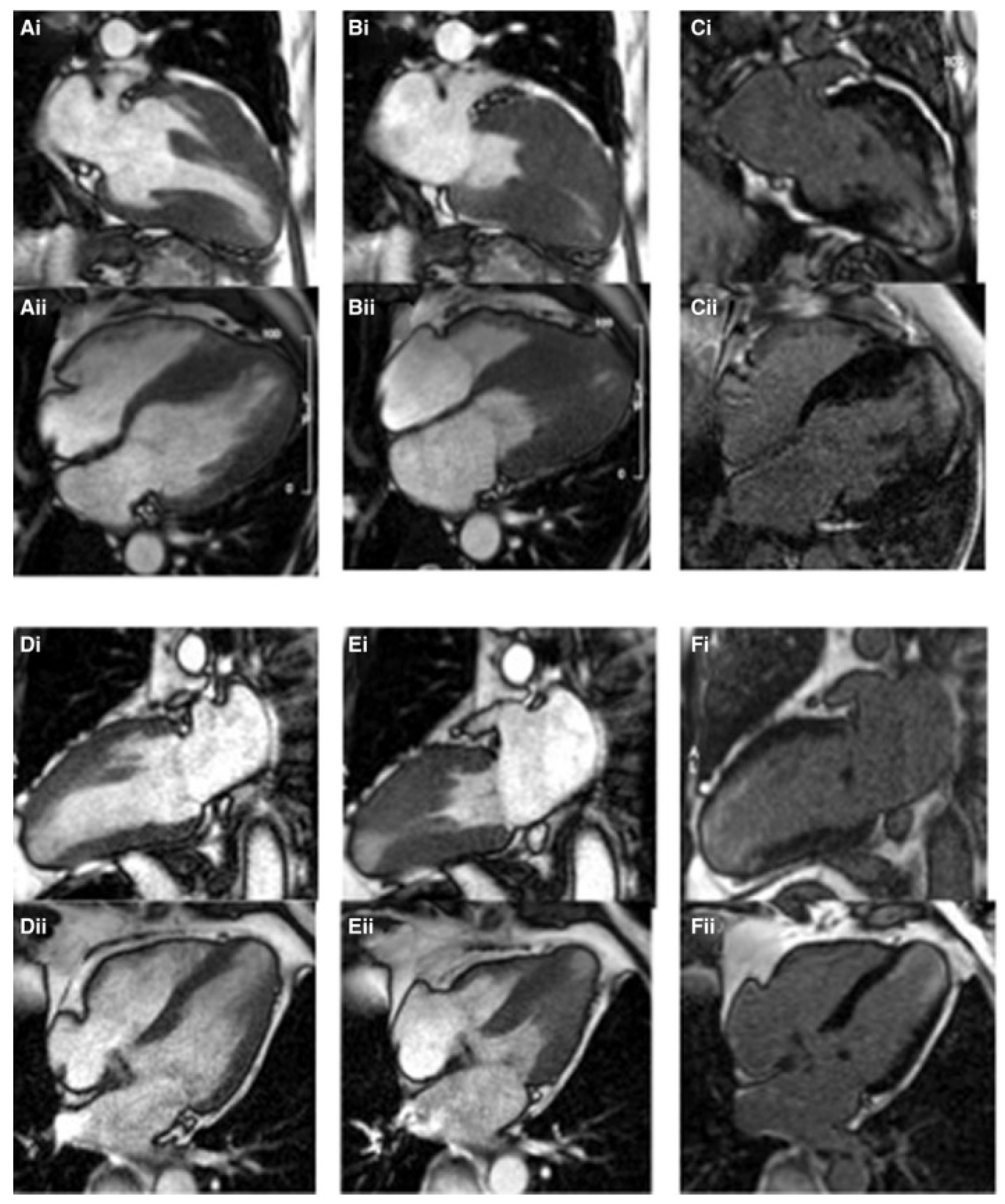 Diagnostics 12 00489 g007