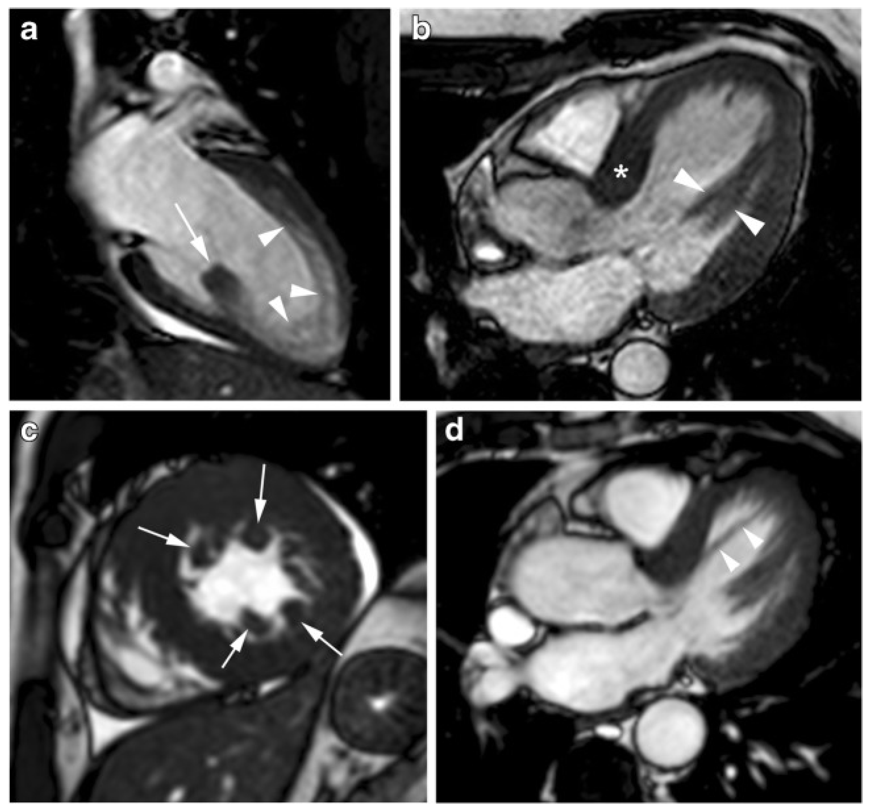 Diagnostics 12 00489 g008