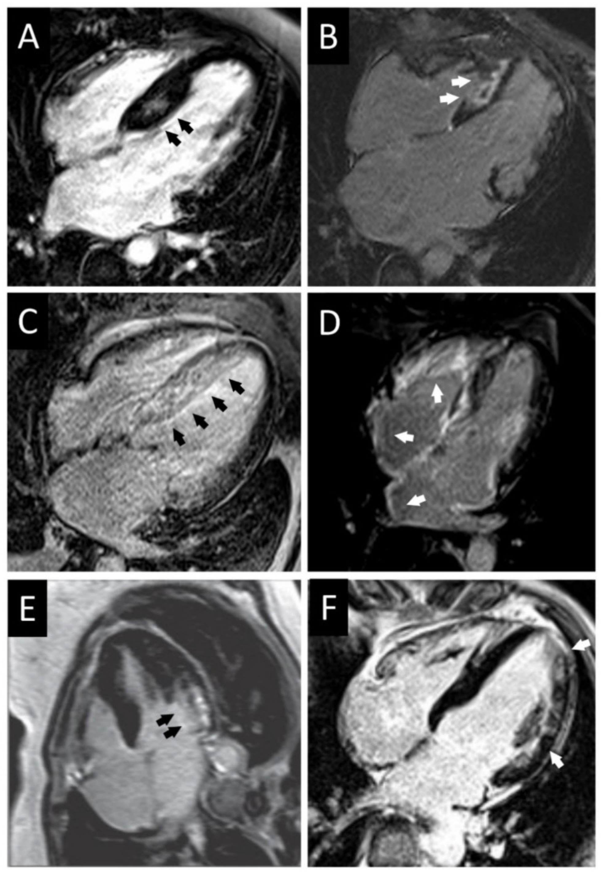 Diagnostics 12 00489 g009