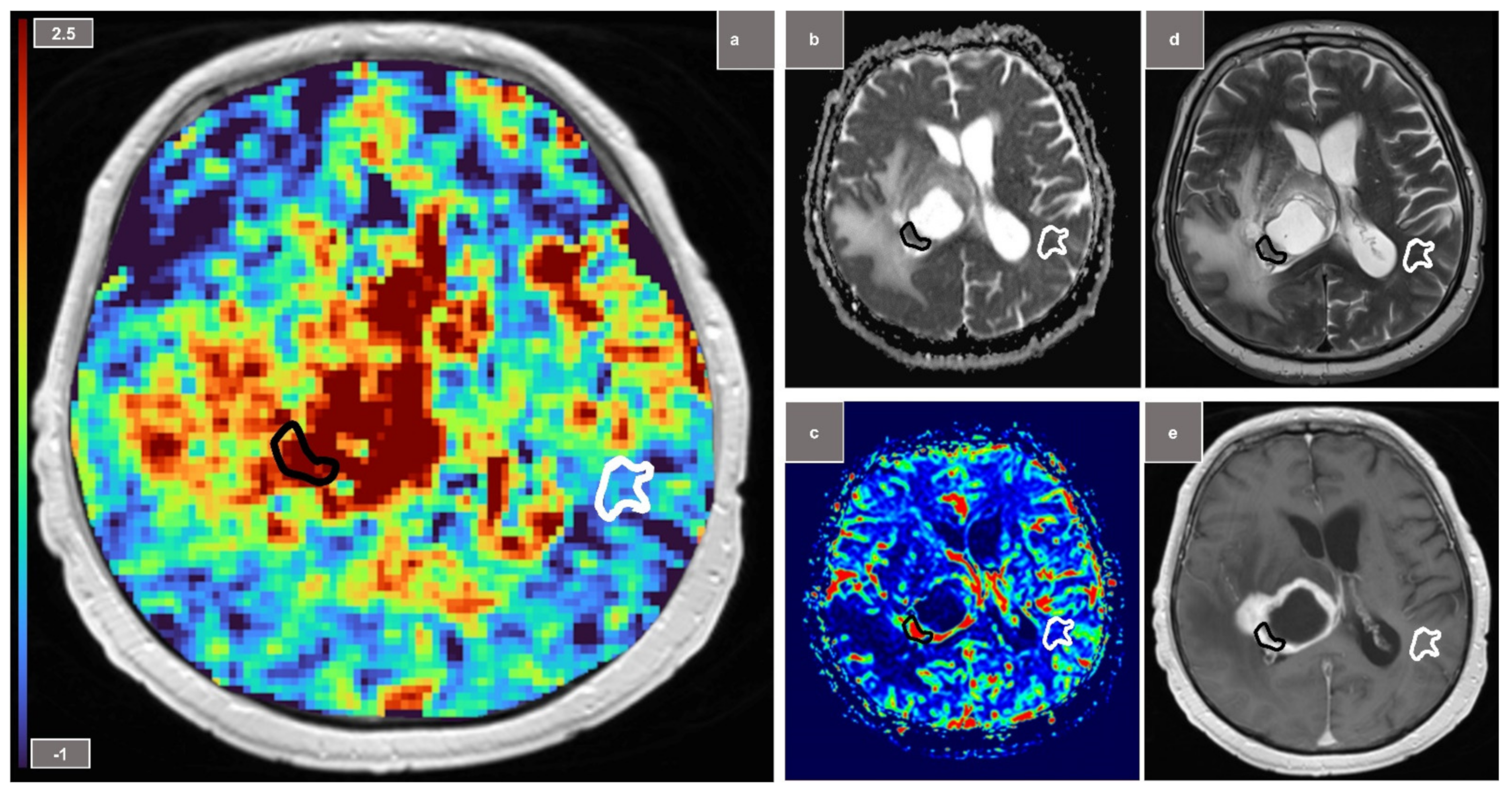 Diagnostics 12 00490 g002