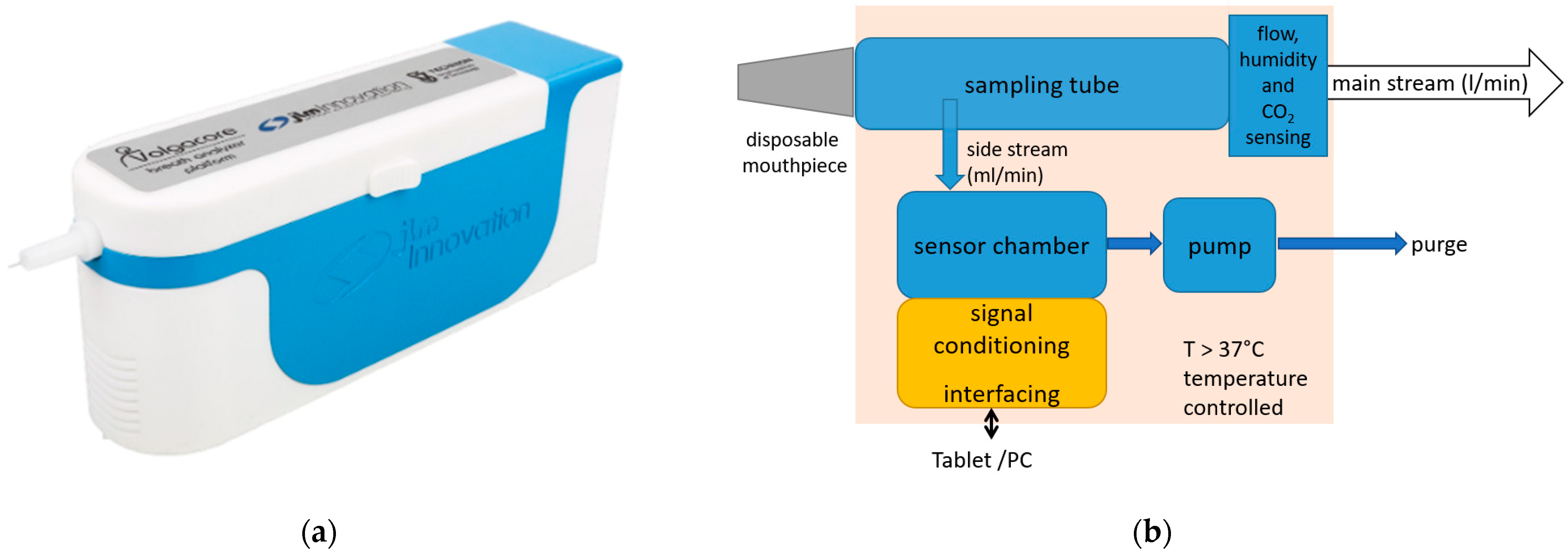 Diagnostics 12 00491 g001