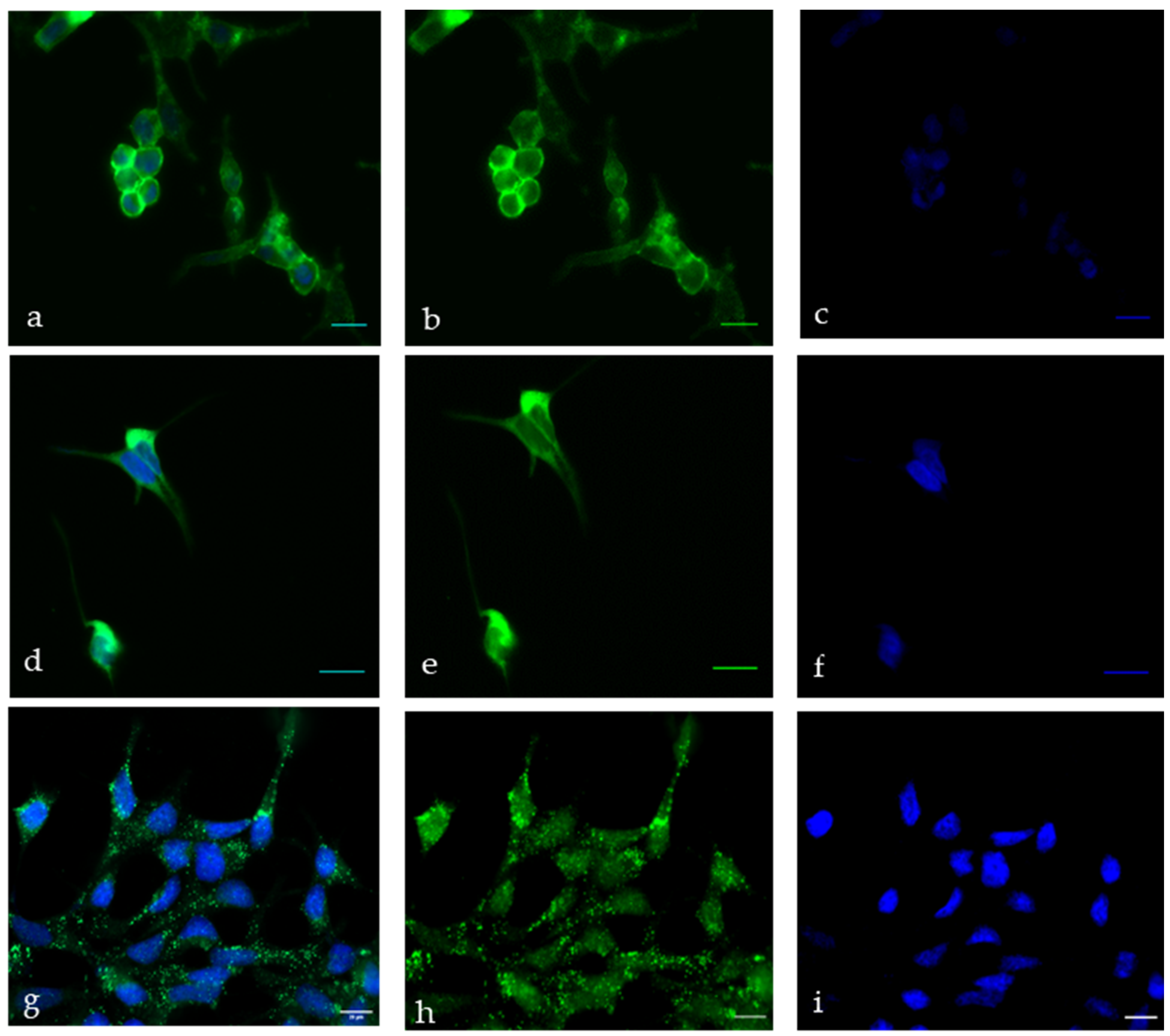 Diagnostics 12 00497 g002