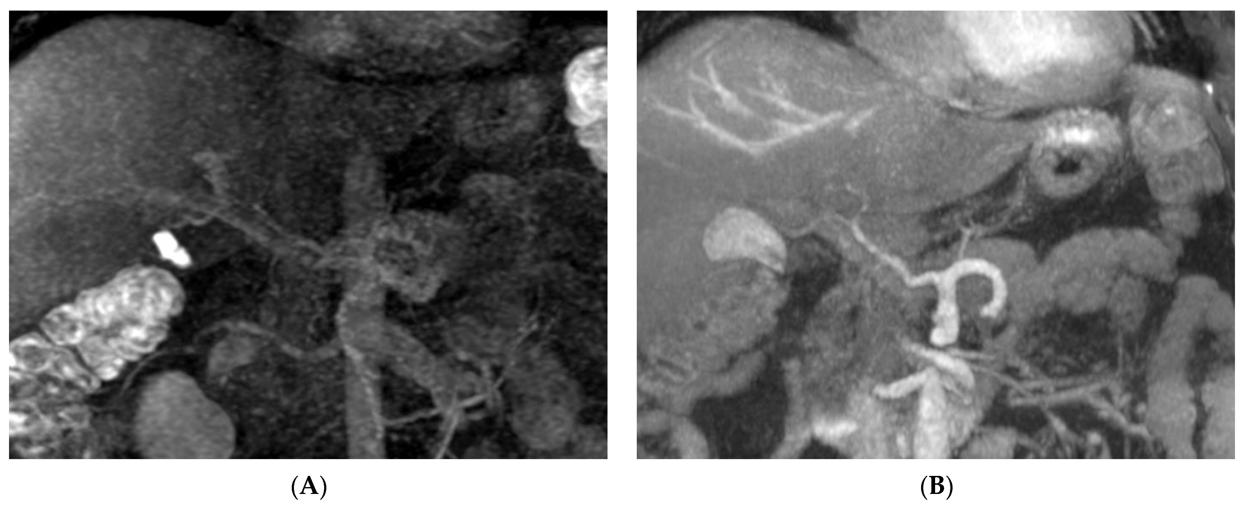 Diagnostics 12 00498 g003 Diagnostics 12 00498 g003