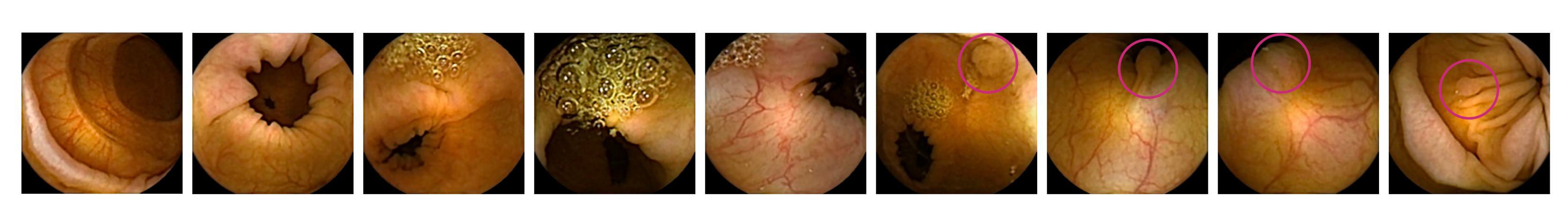 Diagnostics 12 00501 g001