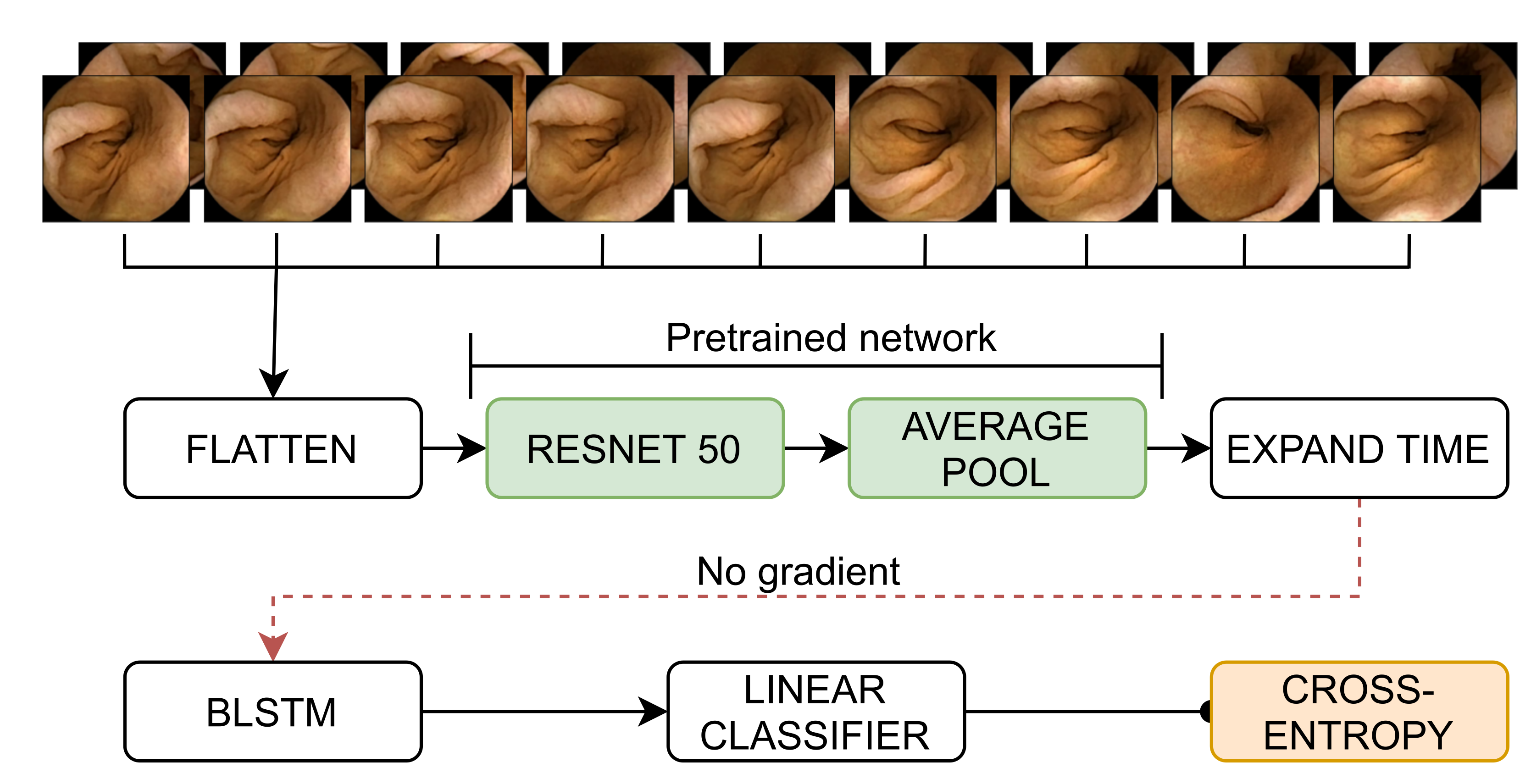Diagnostics 12 00501 g003