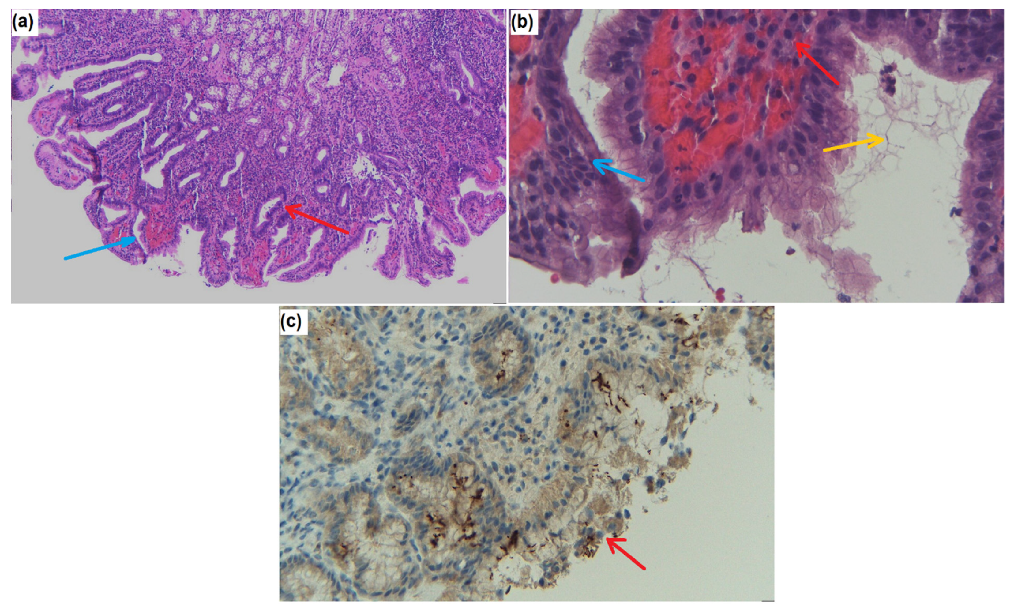 Diagnostics 12 00508 g002