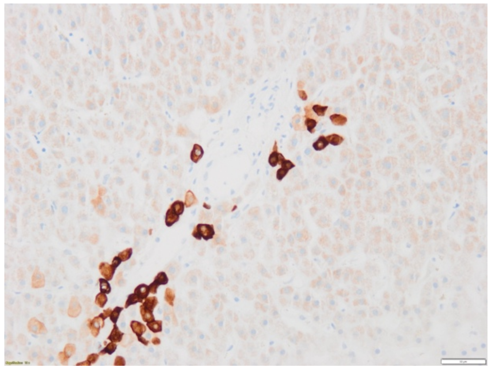 Diagnostics 12 00539 g002