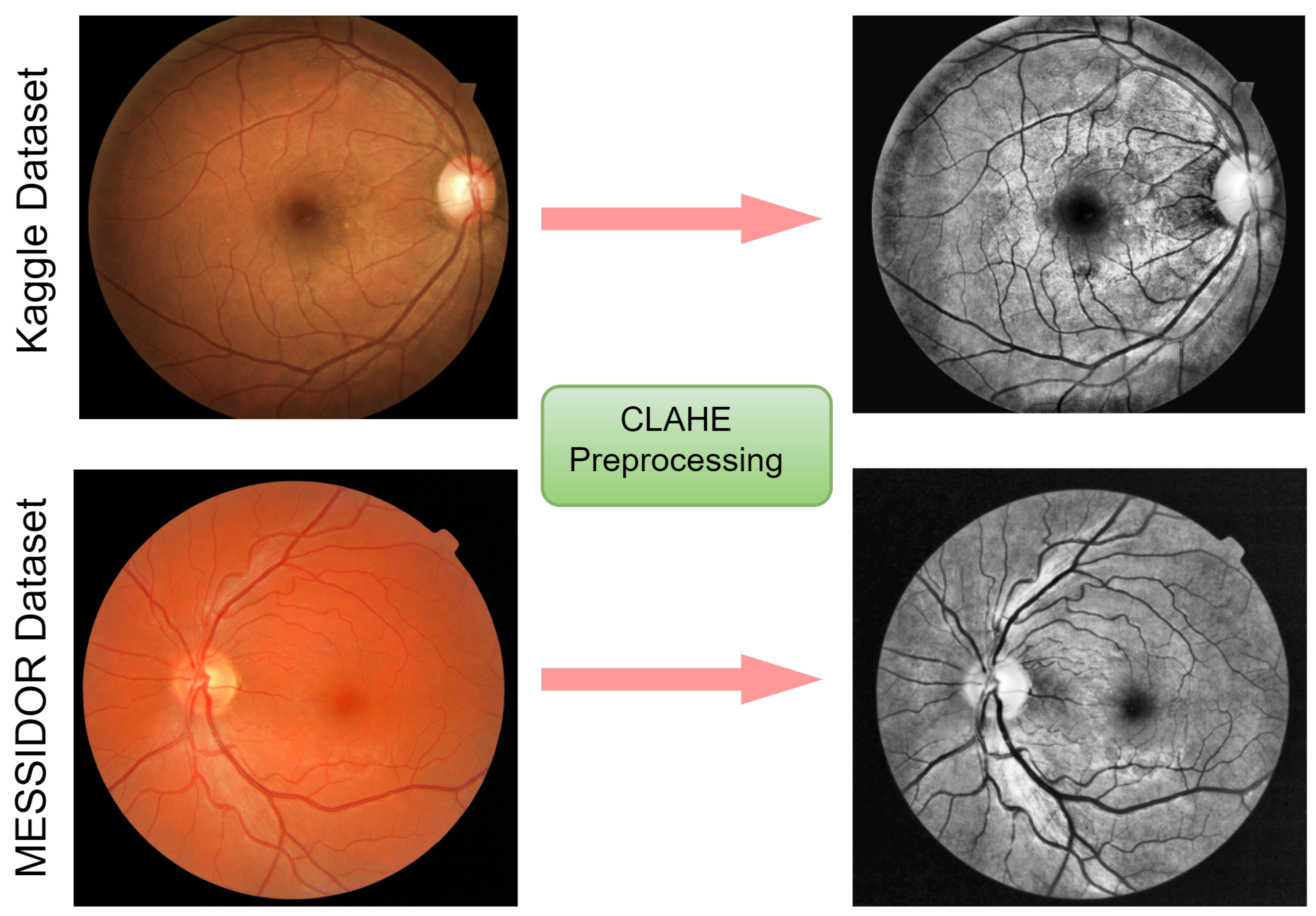 Diagnostics 12 00540 g003