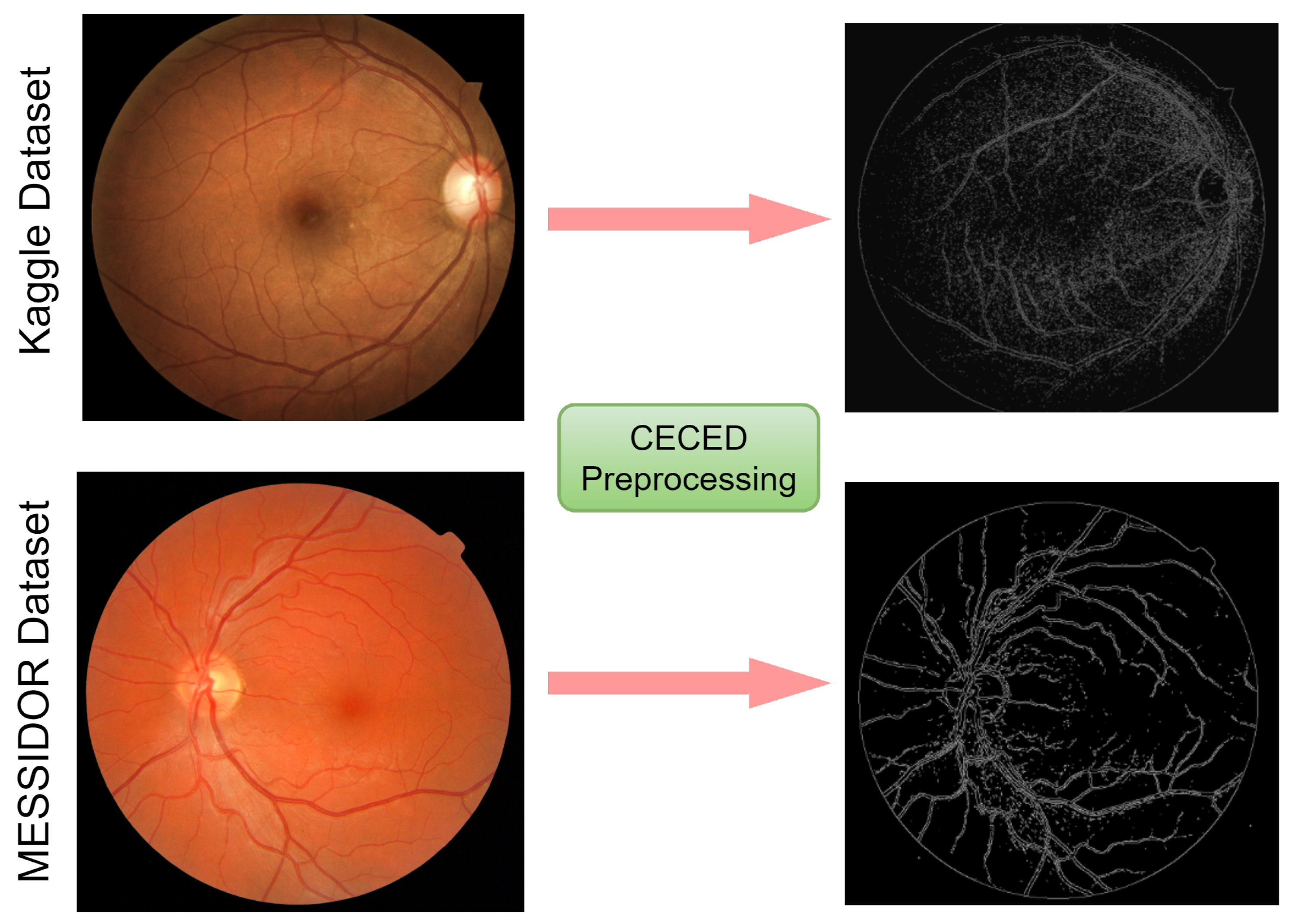 Diagnostics 12 00540 g004