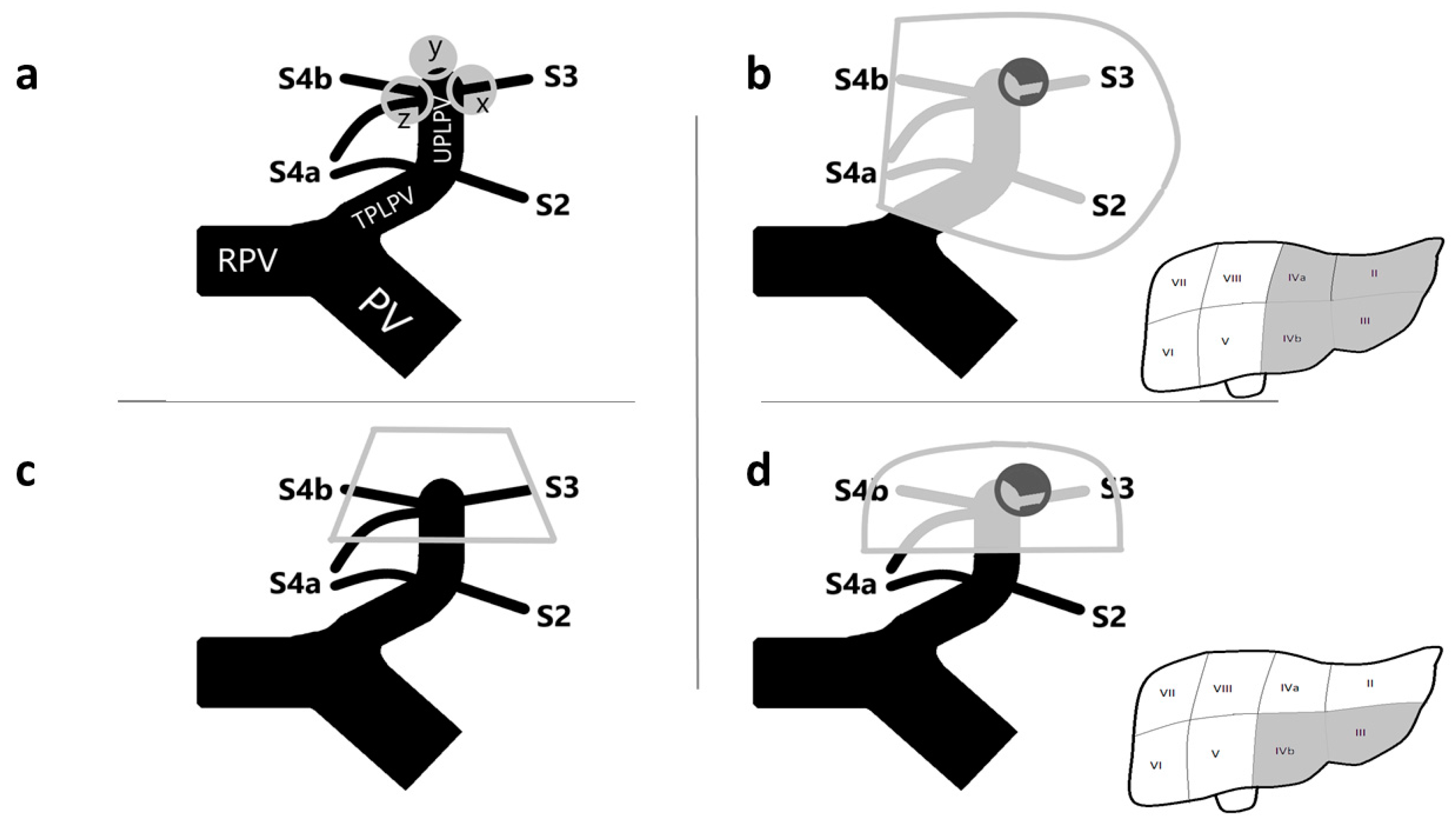 Diagnostics 12 00545 g001