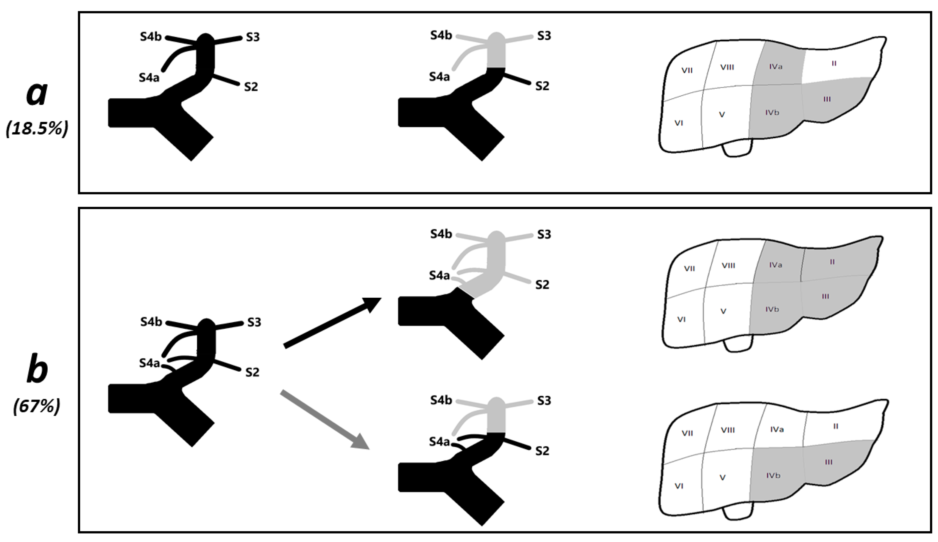 Diagnostics 12 00545 g004