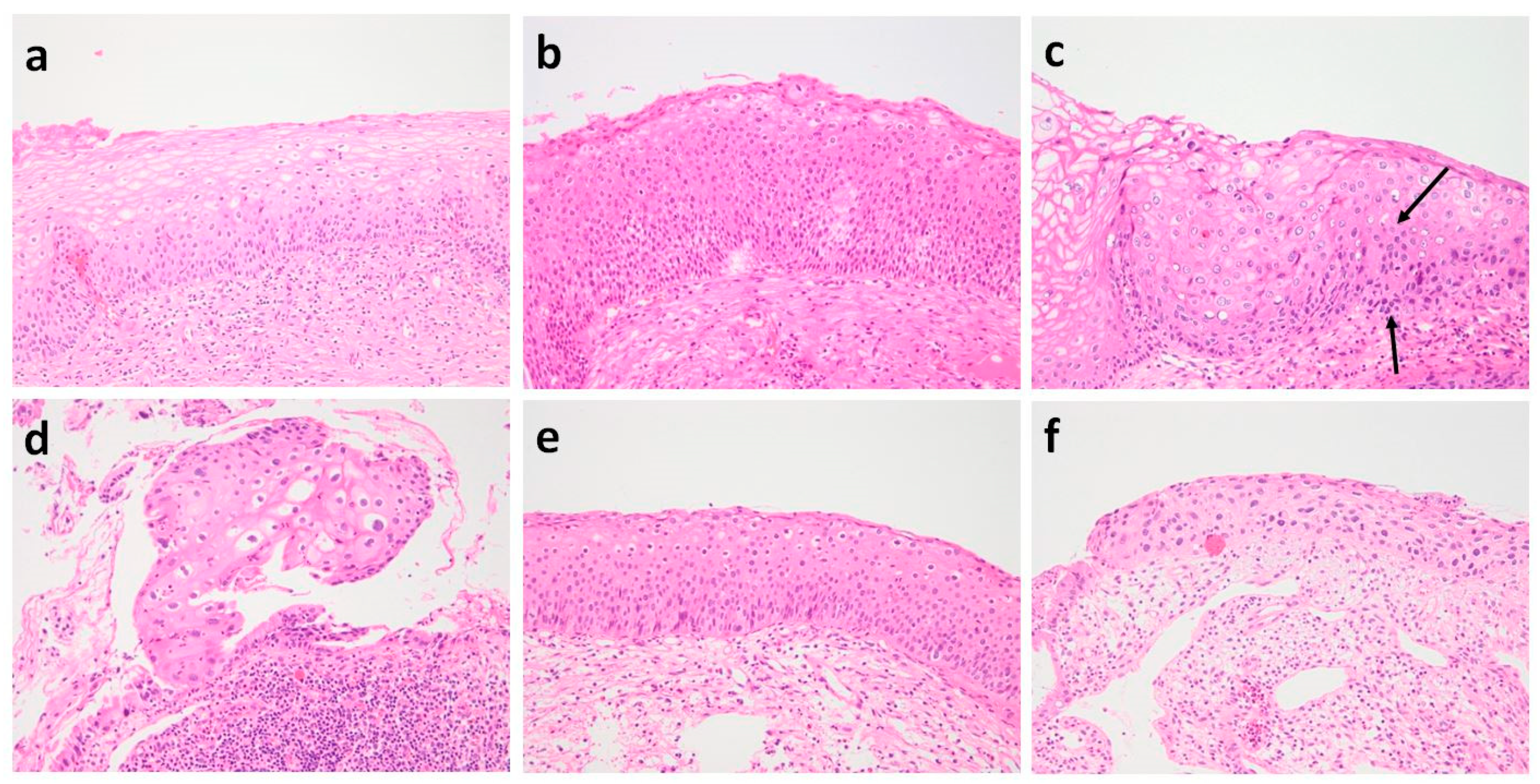 Diagnostics 12 00548 g0a1