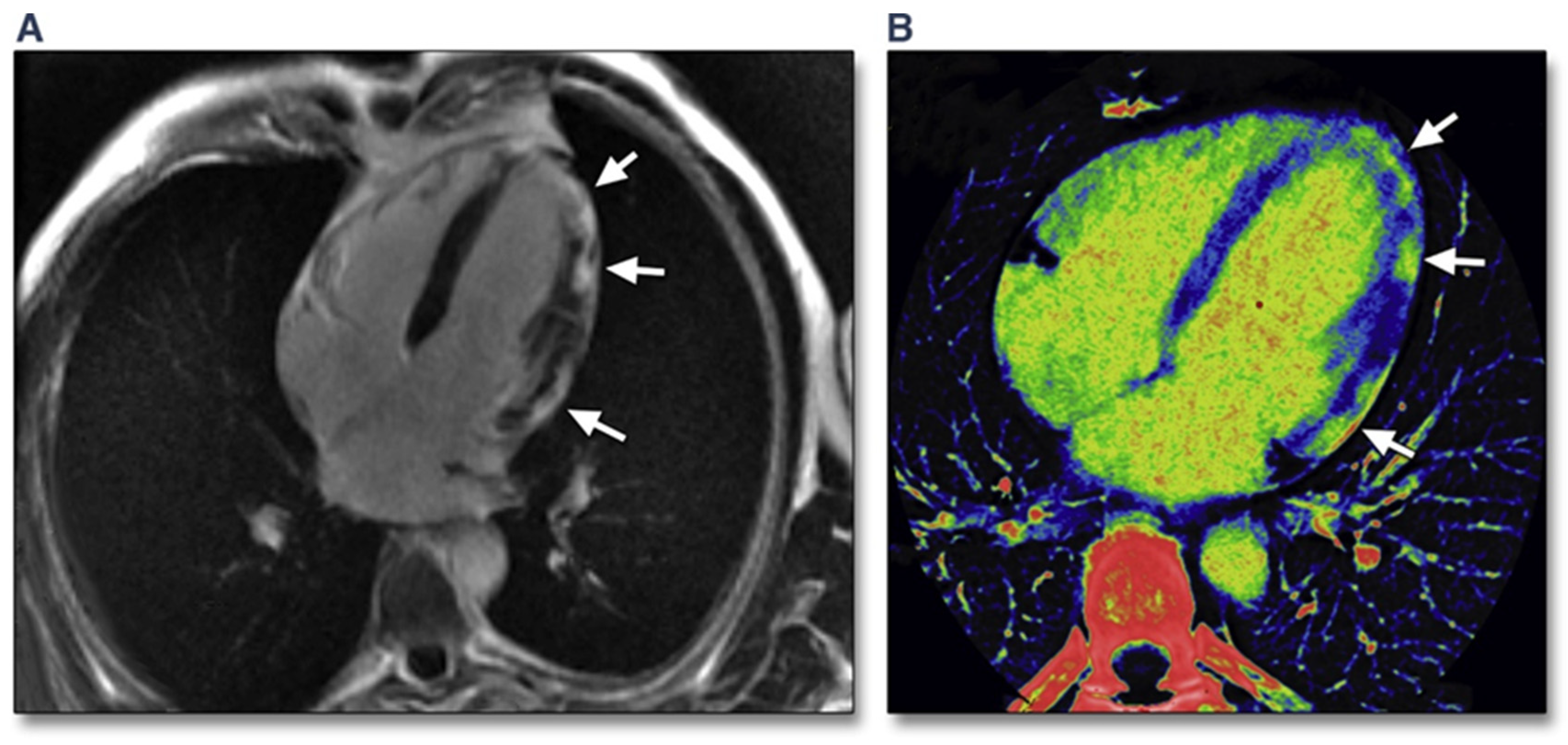 Diagnostics 12 00549 g002