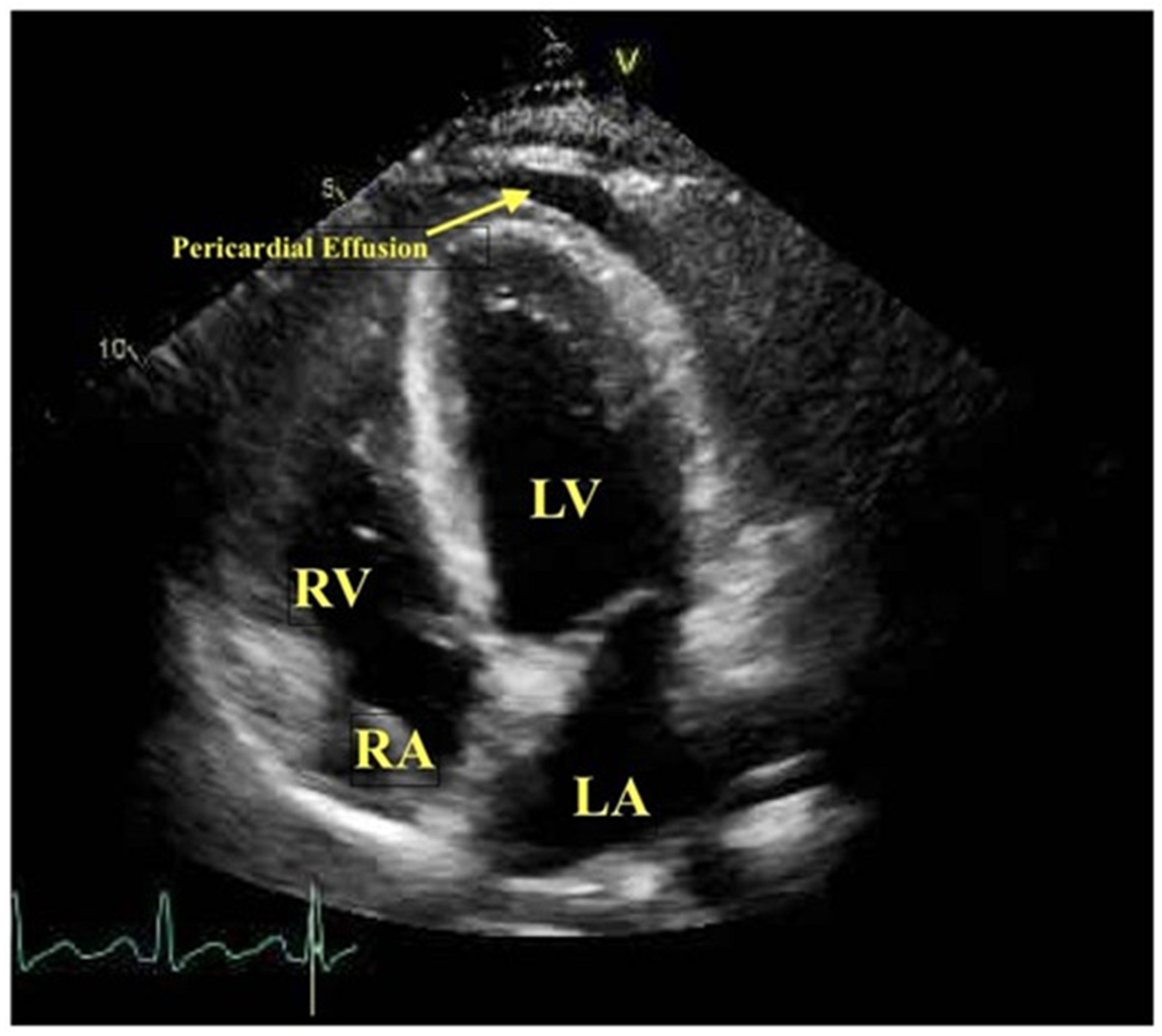 Diagnostics 12 00549 g004